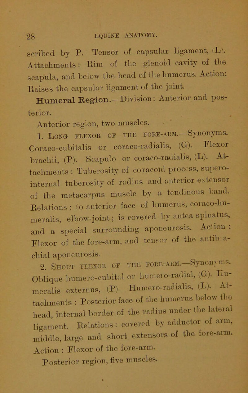 scribed by P. Tensor of capsular ligament, <L\ Attachments: Him of the glenoid cavity of the scapula, and below the head of Iheliumeius. Action. Raises the capsular ligament of the joint. Humeral Region.—Division: Anterior and pos- terior. Anterior region, two muscles. 1. Long flexoe oe the fobe-aem.—Synonyms. Coraco-cubitalis or coraco-radialis, (G). Flexor bracliii, (P). Scapulo or coraco-radialis, (L). At- tachments : Tuberosity of coracoid process, supero- internal tuberosity of radius and anterior extensor of the metacarpus muscle by a tendinous band. Relations : to anterior face of humerus, coraco-liu- meralis, elbow-joint; is covered by antea spmatus, and a special surrounding aponeurosis. Action : Flexor of the fore-arm, and tensor of the antib a- cliial aponeurosis. 2. Short flexoe of the foee-aem. Synonyms. Oblique humero-cubital or humero-radial, (G). Hu- meralis externus, (P) Humero-radialis, (L). At- tachmenis : Posterior face of the humerus below the head, internal border of the radius under the lateral ligament. Relations: covered by adductor of arm, middle, large and short extensors of the fore-arm. Action : Flexor of the fore-arm. Posterior region, five muscles.