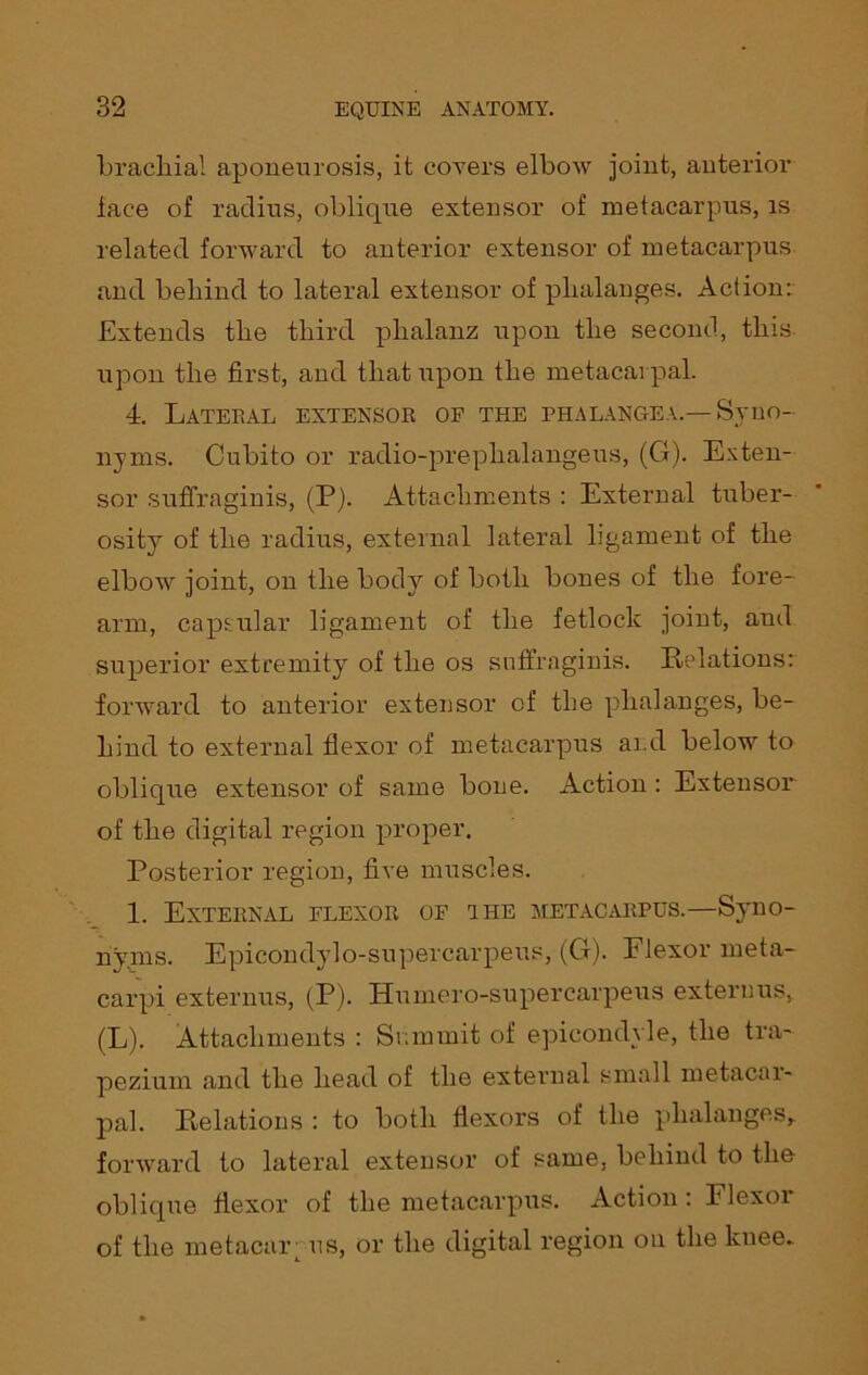 brachial aponeurosis, it covers elbow joint, anterior lace of radius, oblique extensor of metacarpus, is related forward to anterior extensor of metacarpus and behind to lateral extensor of phalanges. Action: Extends the third phalanz upon the second, this upon the first, and that upon the metacarpal. 4. Lateral extensor of the phalange a.— Syno- nyms. Cubito or radio-prephalangeus, (G). Exten- sor suffraginis, (P). Attachments : External tuber- osity of the radius, external lateral ligament of the elbow joint, on the body of both bones of the fore- arm, capsular ligament of the fetlock joint, and superior extremity of the os suffraginis. Relations: forward to anterior extensor of the phalanges, be- hind to external flexor of metacarpus and below to oblique extensor of same bone. Action : Extensor of the digital region proper. Posterior region, five muscles. 1. External flexor of ihe metacarpus.—Syno- nyms. Epicondylo-supercarpeus, (G). Flexor meta- carpi externus, (P). Humero-supercarpeus extern us, (L). Attachments : Summit of epicondvle, the tra- pezium and the head of the external small metacar- pal. Relations : to both flexors of the phalanges, forward to lateral extensor of same, behind to the oblique flexor of the metacarpus. Action: Flexor of the metacar; us, or the digital region on the knee.