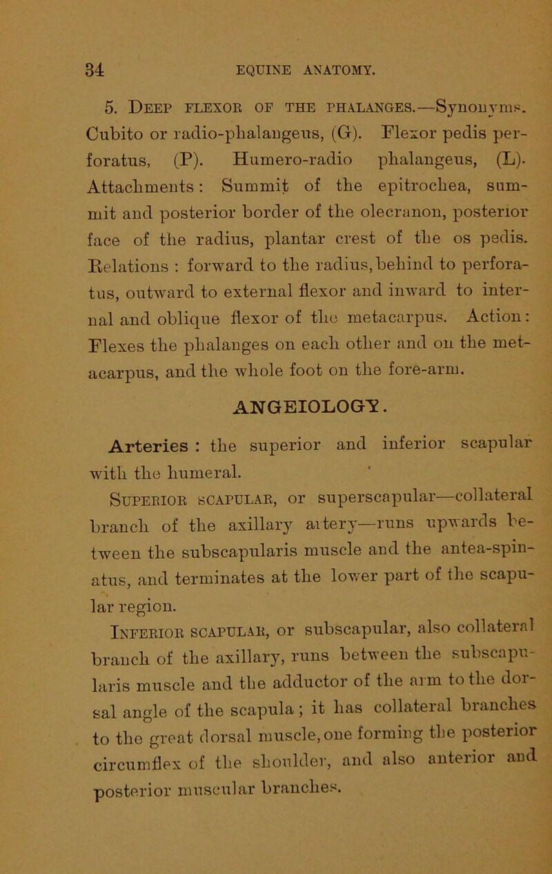 5. Deep flexor of the phalanges.—Synonyms;. Cubito or radio-plialangeus, (G). Flexor pedis per- forates, (P). Humero-radio pbalangeus, (L). Attacbments: Summit of the epitrochea, sum- mit and posterior border of the olecranon, posterior face of the radius, plantar crest of the os pedis. Relations : forward to the radius, behind to perfora- tus, outward to external flexor and inward to inter- nal and oblique flexor of the metacarpus. Action: Flexes the phalanges on each other and on the met- acarpus, and the whole foot on the fore-arm. ANGEIOLOGT. Arteries : the superior and inferior scapular with the humeral. Superior scapular, or superscapular—collateral branch of the axillary artery—runs upwards be- tween the subscapularis muscle and the antea-spin- atus, and terminates at the lower part of the scapu- lar region. Inferior scapular, or subscapular, also collateral branch of the axillary, runs between the subscapu- laris muscle and the adductor of the arm to the dor- sal angle of the scapula; it has collateral branches to the great dorsal muscle, one forming the posterior circumflex of the shoulder, and also anteiioi and posterior muscular branches.