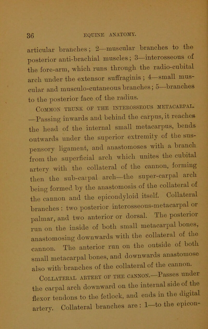 articular brandies ; 2—muscular brandies to the posterior anti-bracliial muscles; 3—interosseous of the fore-arm, which runs through the radio-cubital arch under the extensor suffraginis ; 4—small mus- cular and musculo-cutaneous branches; 5—branches to the posterior face of the radius. Common trunk oe the interosseous metacarpal. —Passing inwards and behind the carpus, it reaches the head of the internal small metacarpus, bends outwards under the superior extremity of the sus- pensory ligament, and anastomoses with a branch from the superficial arch which unites the cubital artery with the collateral of the cannon, forming then the sub-carpal arch—the super-carpal arch being formed by the anastomosis of the collateral of the cannon and the epicondyloid itself. Collateral branches : two posterior interosseous-metacarpal or palmar, and two anterior or dorsal. The posterior mn on the inside of both small metacarpal bones, anastomosing downwards with the collateral of the cannon. The anterior run on the outside of both small metacarpal bones, and downwards anastomose also with branches of the collateral of the cannon. Collateral artery of the cannon—Passes under the carpal arch downward on the internal side of the flexor tendons to the fetlock, and ends in the digital artery. Collateral branches are : 1—to the epicon-