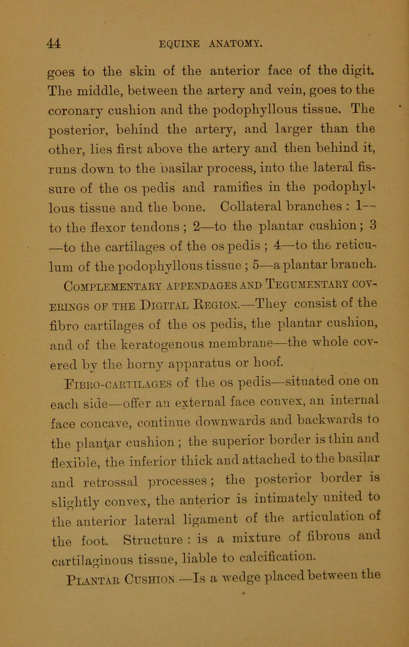 goes to the skin of the anterior face of the digit. The middle, between the artery and vein, goes to the coronary cushion and the podopliyllous tissue. The posterior, behind the artery, and larger than the other, lies first above the artery and then behind it, runs down to the basilar process, into the lateral fis- sure of the os pedis and ramifies in the podophyh lous tissue and the bone. Collateral branches : 1— to the flexor tendons ; 2—to the plantar cushion; 3 —to the cartilages of the os pedis ; 4—to the reticu- lum of the podopliyllous tissue ; 5—a plantar branch. Complementary appendages and Tegumentary cov- erings of the Digital Region.—They consist of the fibro cartilages of the os pedis, the plantar cushion, and of the keratogenous membrane—the whole cov- ered by the horny apparatus or hoof. Fibro-cartilages of the os pedis—situated one on each side—offer an external face convex, an internal face concave, continue downwards and backwards to the plantar cushion ; the superior border is thin and flexible, the inferior thick and attached to the basil.u and retrossal processes; the posterior border is slightly convex, the anterior is intimately united to the anterior lateral ligament of the articulation of the foot. Structure : is a mixture of fibrous and cartilaginous tissue, liable to calcification. Plantar Cushion —Is a wedge placed between the