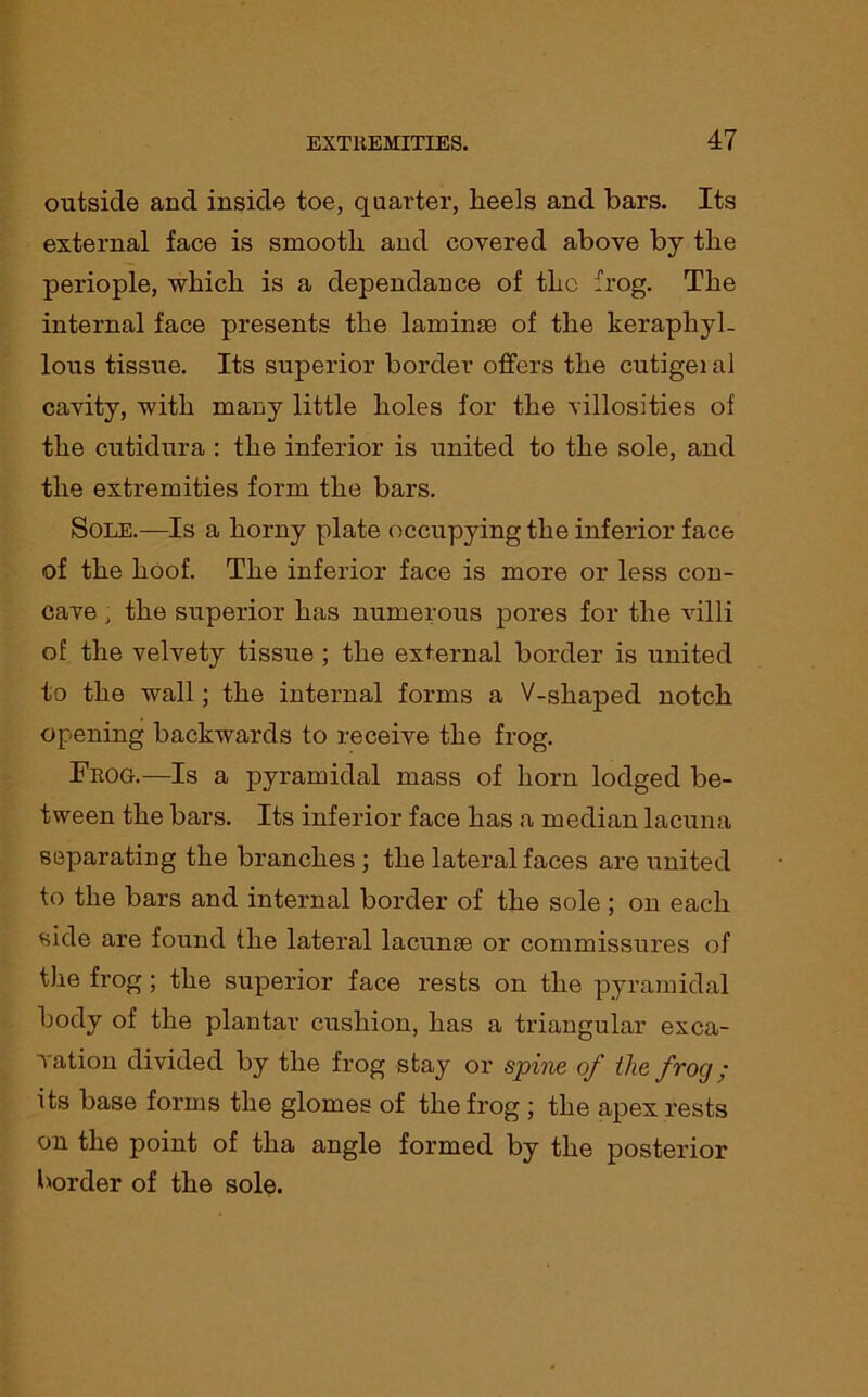 outside and inside toe, quarter, lieels and bars. Its external face is smooth and covered above by the periople, which is a dependance of the frog. The internal face presents the laminae of the keraphyl- lous tissue. Its superior border offers the cutigei al cavity, with many little holes for the villosities of the cutidura : the inferior is united to the sole, and the extremities form the bars. Sole.—Is a horny plate occupying the inferior face of the hoof. The inferior face is more or less con- cave ; the superior has numerous pores for the villi of the velvety tissue ; the external border is united to the wall; the internal forms a V-shaped notch opening backwards to receive the frog. Frog.—Is a pyramidal mass of horn lodged be- tween the bars. Its inferior face has a median lacuna separating the branches ; the lateral faces are united to the bars and internal border of the sole ; on each side are found the lateral lacunae or commissures of the frog; the superior face rests on the pyramidal body of the plantar cushion, has a triangular exca- vation divided by the frog stay or spine of the frog; its base forms the glomes of the frog ; the apex rests on the point of tha angle formed by the posterior border of the sole.