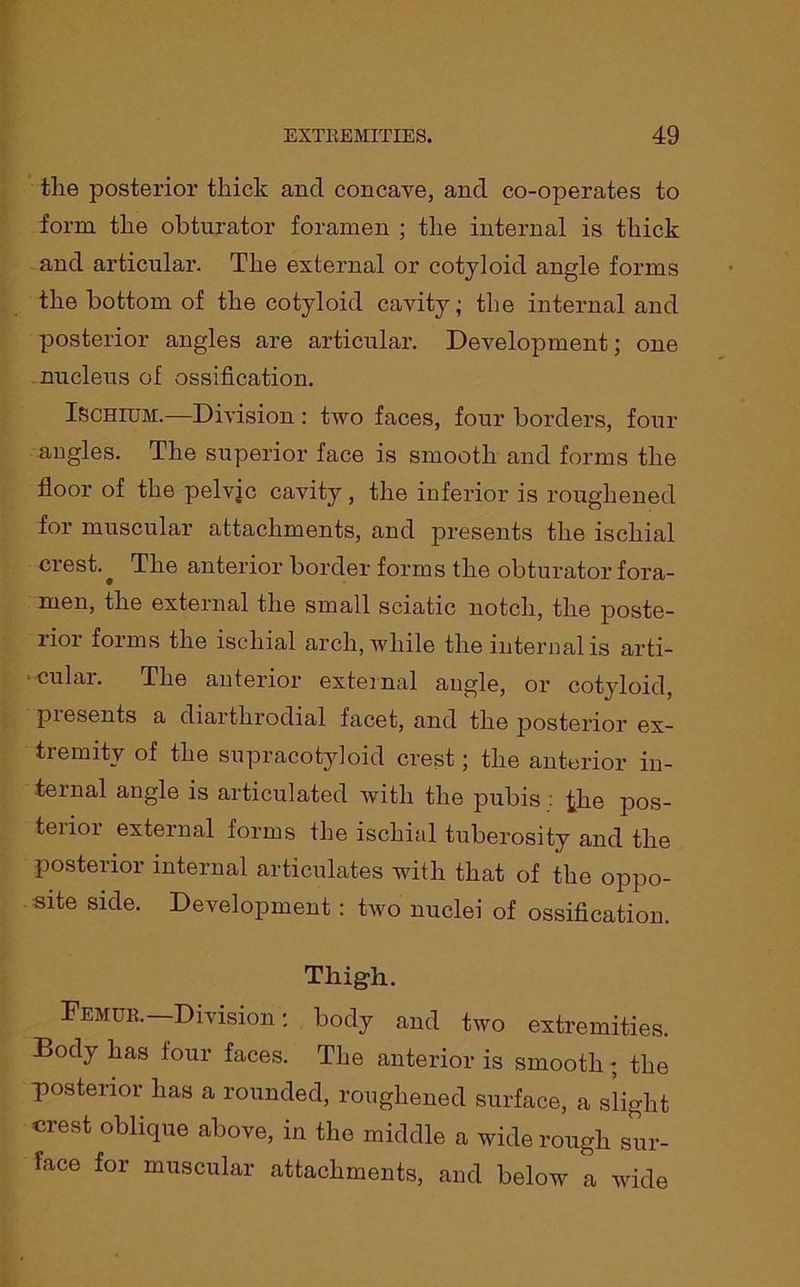 the posterior thick and concave, and co-operates to form the obturator foramen ; the internal is thick and articular. The external or cotyloid angle forms the bottom of the cotyloid cavity; the internal and posterior angles are articular. Development; one nucleus of ossification. Ischium.—Division : two faces, four borders, four angles. The superior face is smooth and forms the floor of the pelvic cavity, the inferior is roughened for muscular attachments, and presents the ischial crest.^ The anterior border forms the obturator fora- men, the external the small sciatic notch, the poste- rior forms the ischial arch, while the internal is arti- cular. The anterior external angle, or cotyloid, presents a diarthrodial facet, and the posterior ex- tremity of the supracotyloid crest; the anterior in- ternal angle is articulated with the pubis : £lie pos- terior external forms the ischial tuberosity and the posterior internal articulates with that of the oppo- site side. Development : two nuclei of ossification. Thigh. Femur.—Division: body and two extremities. Body has four faces. The anterior is smooth; the posterior has a rounded, roughened surface, a slight crest oblique above, in the middle a wide rough sur- face for muscular attachments, and below a wide