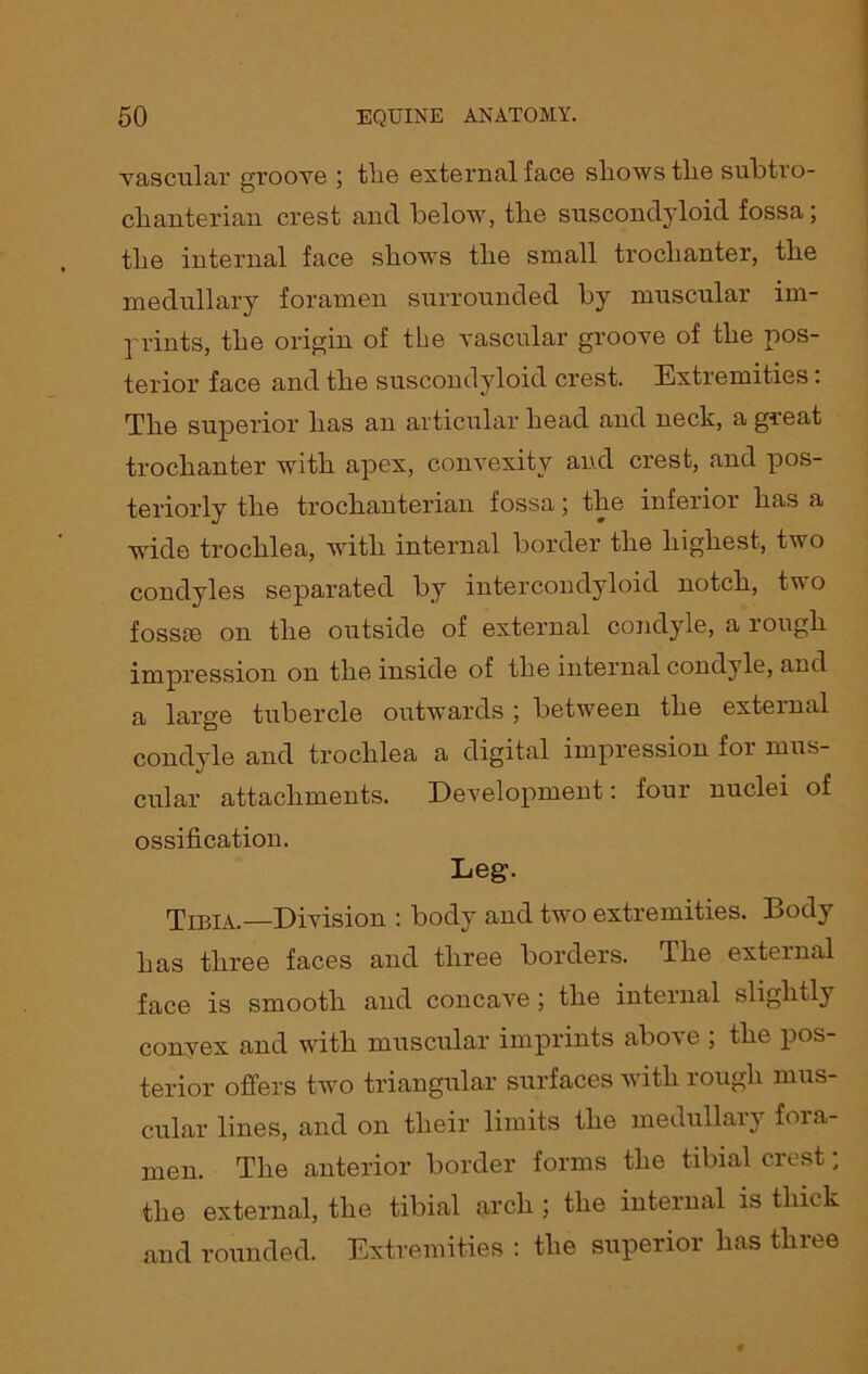 vascular groove ; tlie external face shows the subtro- chanterian crest and below, the suscondyloid fossa; the internal face shows the small trochanter, the medullary foramen surrounded by muscular im- prints, the origin of the vascular groove of the pos- terior face and the suscondyloid crest. Extremities: The superior has an articular head and neck, a great trochanter with apex, convexity and crest, and pos- teriorly the trochanterian fossa; the inferior has a wide trochlea, with internal border the highest, two condyles separated by intercondyloid notch, two fossre on the outside of external condyle, a rough impression on the inside of the internal condyle, and a large tubercle outwards ; between the external condyle and trochlea a digital impression for mus- cular attachments. Development: four nuclei of ossification. Leg. Tibia.—Division : body and two extremities. Body has three faces and three borders. The external face is smooth and concave ; the internal slightly convex and with muscular imprints above ; the pos- terior offers two triangular surfaces with rough mus- cular lines, and on their limits the medullary fora- men. The anterior border forms the tibial crest; the external, the tibial arch ; the internal is thick and rounded. Extremities : the superior has three