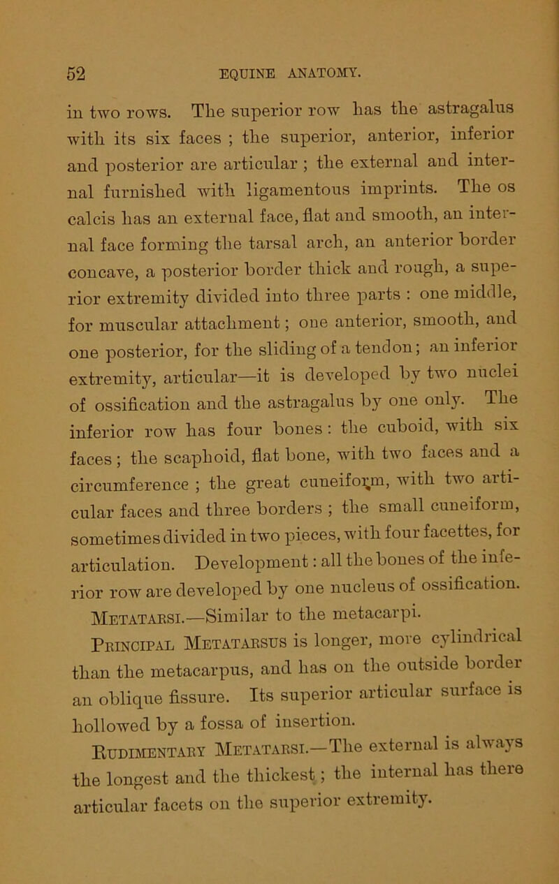in two rows. The superior row has the astragalus with its six faces ; the superior, anterior, inferior and posterior are articular ; the external and inter- nal furnished with ligamentous imprints. The os calcis has an external face, flat and smooth, an intei- nal face forming the tarsal arch, an anterior border concave, a posterior border thick and rough, a supe- rior extremity divided into three parts : one middle, for muscular attachment; one anterior, smooth, and one posterior, for the sliding of a tendon; an infeiioi extremity, articular—it is developed by two nuclei of ossification and the astragalus by one only. The inferior row has four bones : the cuboid, with six faces ; the scaphoid, flat bone, with two faces and a circumference ; the great cuneiform, with two aiti- cular faces and three borders ; the small cuneiform, sometimes divided in two pieces, with four facettes, for articulation. Development: all the bones of the infe- rior row are developed by one nucleus of ossification. Metatarsi.—Similar to the metacarpi. Principal Metatarsus is longer, move cylindrical than the metacarpus, and has on the outside border an oblique fissure. Its superior articular surface is hollowed by a fossa of insertion. Rudimentary Metatarsi.—The external is always the longest and the thickest; the internal has there articular facets on the superior extremity.