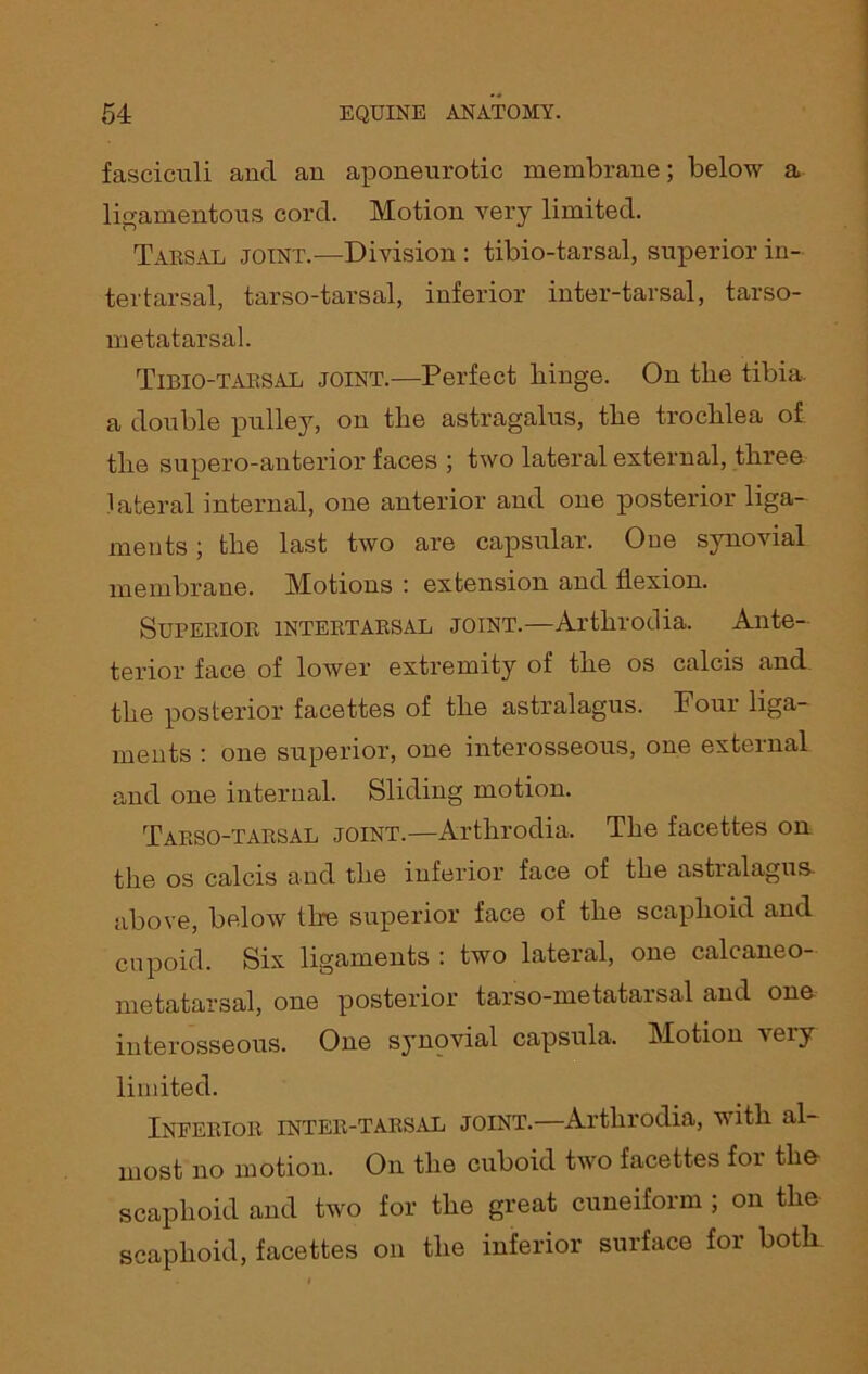 fasciculi and an aponeurotic membrane; below a ligamentous cord. Motion very limited. Tarsal joint.—Division : tibio-tarsal, superior in- ter tarsal, tarso-tarsal, inferior inter-tarsal, tarso- metatarsal. Tibio-tarsal joint.—Perfect binge. On tlie tibia, a double pulley, on tlie astragalus, tbe trochlea of tlie supero-anterior faces ; two lateral external, tliree lateral internal, one anterior and one posterior liga- ments ; tlie last two are capsular. One synovial membrane. Motions : extension and flexion. Superior intertarsal joint.—Arthrodia. Ante- terior face of lower extremity of the os calcis and the posterior facettes of the astralagus. Four liga- ments : one superior, one interosseous, one external and one internal. Sliding motion. Tarso-tarsal joint.—Arthrodia. The facettes on the os calcis and the inferior face of the astialagus. above, below the superior face of the scaphoid and cupoid. Six ligaments : two lateral, one calcaneo- metatarsal, one posterior tarso-metatarsal and one interosseous. One synovial capsula. Motion \eiy limited. Inferior inter-tarsal joint.—Arthrodia, with al- most no motion. On the cuboid two facettes for the scaphoid and two for the great cuneiform ; on the scaphoid, facettes on the inferior surface for both