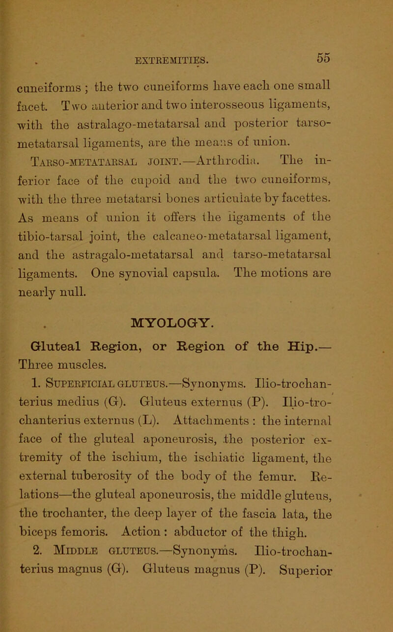 cuneiforms ; the two cuneiforms have each one small facet. Two anterior and two interosseous ligaments, with the astralago-metatarsal and posterior tarso- metatarsal ligaments, are the means of union. Tarso-metatarsal joint.—Arthrodia. The in- ferior face of the cupoid and the two cuneiforms, with the three metatarsi bones articulate by facettes. As means of union it offers the ligaments of the tibio-tarsal joint, the calcaneo-metatarsal ligament, and the astragalo-metatarsal and tarso-metatarsal ligaments. One synovial capsula. The motions are nearly null. MYOLOGY. Gluteal Region, or Region of the Hip.— Three muscles. 1. Superficial gluteus.—Synonyms. Ilio-troclian- terius medius (G). Gluteus externus (P). Ilio-tro- chanterius externus (L). Attachments : the internal face of the gluteal aponeurosis, .the posterior ex- tremity of the ischium, the ischiatic ligament, the external tuberosity of the body of the femur. Re- lations—the gluteal aponeurosis, the middle gluteus, the trochanter, the deep layer of the fascia lata, the biceps femoris. Action : abductor of the thigh. 2. Middle gluteus.—Synonyms. Ilio-trochan- terius magnus (G). Gluteus magnus (P). Superior