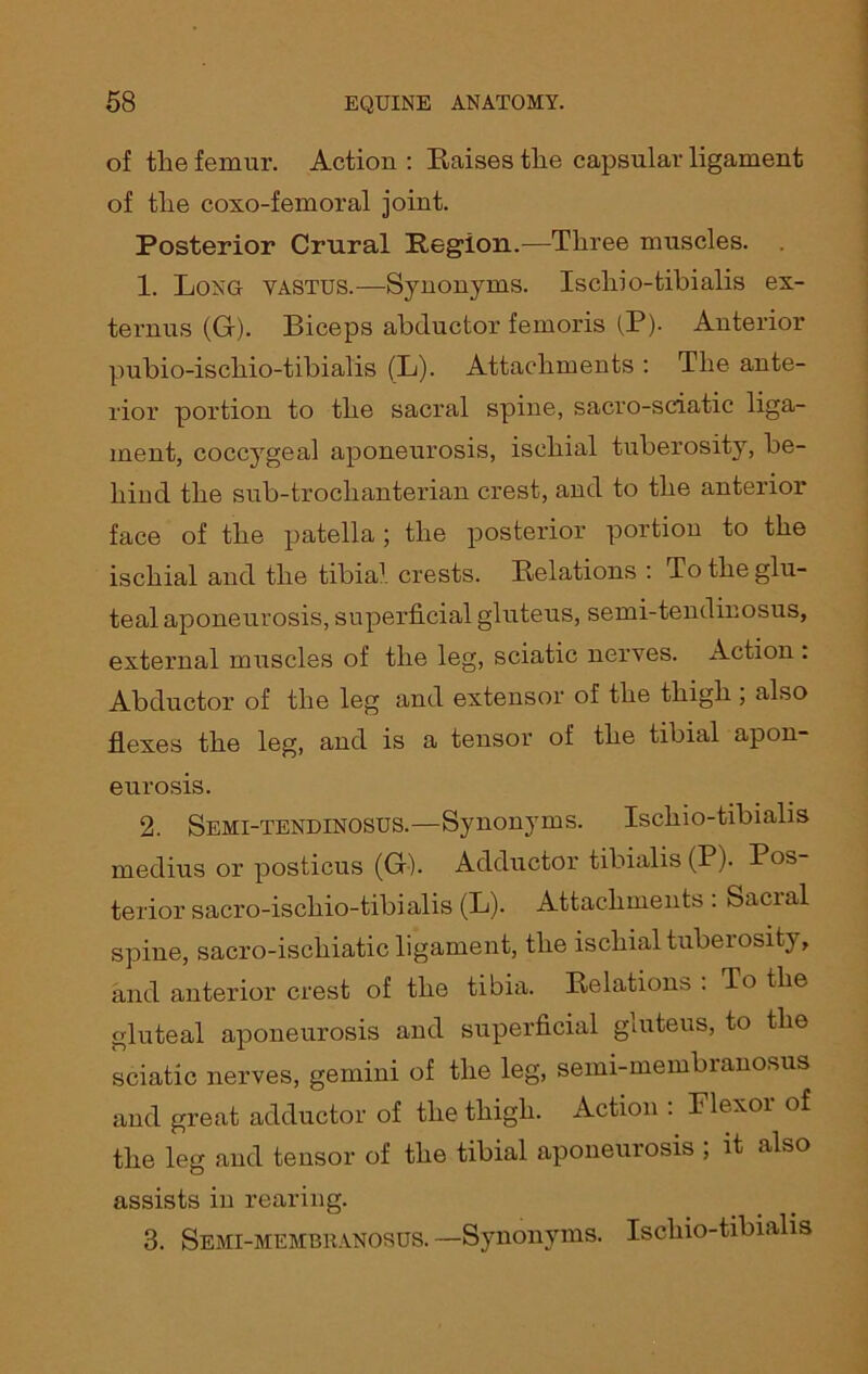 of the femur. Action : Raises the capsular ligament of the coxo-femoral joint. Posterior Crural Region.—Three muscles. 1. Long vastus.—Synonyms. Ischio-tibialis ex- ternus (G). Biceps abductor femoris (P). Anterior pubio-ischio-tibialis (L). Attachments : The ante- rior portion to the sacral spine, sacro-sciatic liga- ment, coccygeal aponeurosis, ischial tuberosity, be- hind the sub-troclianterian crest, and to the anterior face of the patella ; the posterior portion to the ischial and the tibia1 crests. Relations : To the glu- teal aponeurosis, superficial gluteus, semi-tendinosus, external muscles of the leg, sciatic nerves. Action . Abductor of the leg and extensor of the thigh; also flexes the leg, and is a tensor of the tibial apon- eurosis. 2. Semi-tendinosus.—Synonyms. Ischio-tibialis medius or posticus (G). Adductor tibialis (P). Pos- terior sacro-ischio-tibialis (L). Attachments : Sacial spine, sacro-ischiatic ligament, the ischial tuberosity, and anterior crest of the tibia. Relations . To the gluteal aponeurosis and superficial gluteus, to the sciatic nerves, gemini of the leg, semi-membranosus and great adductor of the thigh. Action : Plexor of the leg and tensor of the tibial aponeurosis ; it also assists in rearing. 3. Semi-membranosus. —Synonyms. Ischio-tibialis