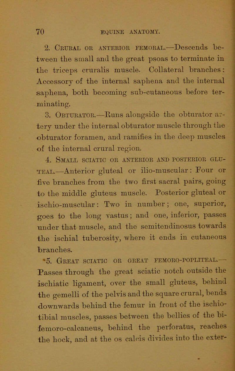 2. Crural or anterior femoral.—Descends be- tween tbe small and the great psoas to terminate in the triceps cruralis muscle. Collateral branches: Accessory of the internal saphena and the internal saphena, both becoming sub-cutaneous before ter- minating. 3. Obturator.—Buns alongside the obturator ar- tery under the internal obturator muscle through the obturator foramen, and ramifies in the deep muscles of the internal crural region. 4. Small sciatic or anterior and posterior glu- teal.—Anterior gluteal or ilio-muscular: Four or five branches from the two first sacral pairs, going to the middle gluteus muscle. Posterior gluteal or ischio-muscular: Two in number; one, superior, goes to the long vastus; and one, inferior, passes under that muscle, and the semitendinosus towards the ischial tuberosity, where it ends in cutaneous branches. *5. Great sciatic or great eemoro-popliteal.— Passes through the great sciatic notch outside the ischiatic ligament, over the small gluteus, behind the gemelli of the pelvis and the square crural, bends downwards behind the femur in front of the ischio- tibial muscles, passes between the bellies of the bi- femoro-calcaneus, behind the perforatus, reaches the hock, and at the os calcis divides into the exter-