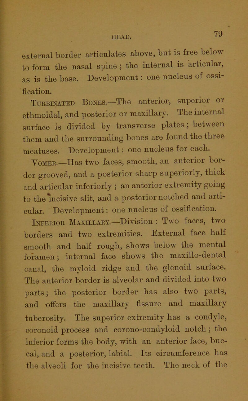 external border articulates above, but is free below to form the nasal spine ; the internal is articular, as is the base. Development: one nucleus of ossi- fication. Turbinated Bones.—The anterior, superior 01 ethmoidal, and posterior or maxillary. The internal surface is divided by transverse plates ; between them and the surrounding bones are found the three meatuses. Development : one nucleus for each. Yomer.—Has two faces, smooth, an anterior bor- der grooved, and a posterior sharp superiorly, thick and articular inferiorly ; an anterior extremity going to the Incisive slit, and a posterior notched and arti- cular. Development: one nucleus of ossification. Inferior Maxillary.—Division : Two faces, two borders and two extremities. External face half smooth and half rough, shows below the mental foramen; internal face shows the maxillo-dental canal, the myloid ridge and the glenoid surface. The anterior border is alveolar and divided into two parts; the posterior border has also two parts, and -offers the maxillary fissure and maxillary tuberosity. The superior extremity has a condyle, coronoid process and corono-condyloid notch; the inferior forms the body, with an anterior face, buc- cal, and a posterior, labial. Its circumference has the alveoli for the incisive teeth. The neck of the