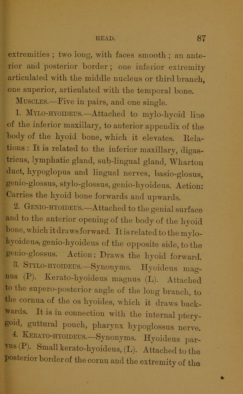 extremities ; two long, witli faces smooth ; an ante- rior and posterior border ; one inferior extremity articulated with the middle nucleus or third branch, one superior, articulated with the temporal bone. Muscles.—Five in pairs, and one single. 1. Mylo-hyoideus.—Attached to mylo-hyoid line of the inferior maxillary, to anterior appendix of the body of the hyoid bone, which it elevates. Rela- tions : It is related to the inferior maxillary, digas- tricus, lymphatic gland, sub-lingual gland, Wharton duct, hypoglopus and lingual nerves, basio-glosus, gemo-glossus, stylo-glossus, genio-hyoideus. Action: Carries the hyoid bone forwards and upwards. 2. Genio-hyoedeus.—Attached to the genial surface and to the anterior opening of the body of the hyoid bone, which it draws forward. It is related to the mylo- hyoideus-, genio-hyoideus of the opposite side, to the genio-glossus. Action: Draws the hyoid forward. 3. Stylo-hyoideus.—Synonyms. Hyoideus mag- mas (P). Kerato-hyoideus magnus (L). Attached to the supero-posterior angle of the long branch, to the cornua of the os hyoides, which it draws back- wards. It is in connection with the internal ptery- goid, guttural pouch, pharynx hypoglossus nerve. A Kerato-hyoideus.—Synonyms. Hyoideus par- fS (p)- Small kerato-hyoideus, (L). Attached to the posterior border of the cornu and the extremity of the