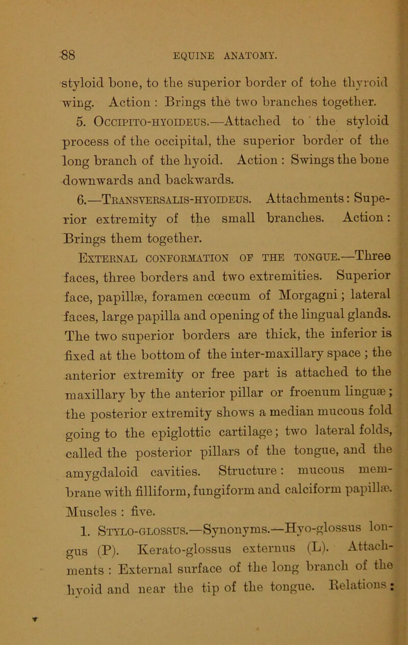 styloid bone, to the superior border of tohe thyroid wing. Action : Brings the two branches together. 5. Occipito-hyoedeus.—Attached to ' the styloid process of the occipital, the superior border of the long branch of the hyoid. Action : Swings the bone downwards and backwards. 6. —Transversalis-hyotdeus. Attachments: Supe- rior extremity of the small branches. Action: Brings them together. External conformation of the tongue.—Three faces, three borders and two extremities. Superior face, papillae, foramen coecum of Morgagni; lateral faces, large papilla and opening of the lingual glands. The two superior borders are thick, the inferior is fixed at the bottom of the inter-maxillary space ; the anterior extremity or free part is attached to the maxillary by the anterior pillar or froenum linguae ; the posterior extremity shows a median mucous fold going to the epiglottic cartilage; two lateral folds, called the posterior pillars of the tongue, and the amygdaloid cavities. Structure: mucous mem- brane with filliform, fungiform and calciforin papilla?. Muscles : five. 1. Styloglossus.—Synonyms.—Hyo-glossus lon- gus (P). Kerato-glossus externus (L). Attach- ments : External surface of the long branch of the hyoid and near the tip of the tongue. Relations: