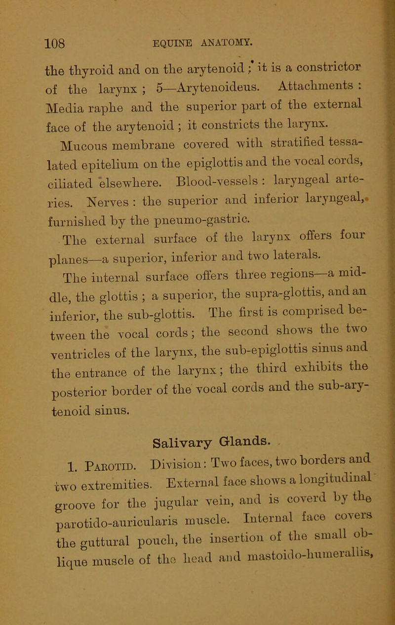 the thyroid and on the arytenoid ; it is a constrictor of the larynx ; 5—Arytenoideus. Attachments : Media raphe and the superior part of the external face of the arytenoid ; it constricts the larynx. Mucous membrane covered with stratified tessa- lated epitelium on the epiglottis and the i7ocal coids, ciliated elsewhere. Blood-vessels : laryngeal aite- ries. Nerves : the superior and inferior laryngeal,, furnished by the pneumo-gastric. The external surface of the larynx offers four planes—a superior, inferior and two laterals. The internal surface offers three regions a mid- dle, the glottis ; a superior, the supra-glottis, and an inferior, the sub-glottis. The first is comprised be- tween the vocal cords; the second shows the two ventricles of the larynx, the sub-epiglottis sinus and the entrance of the larynx; the third exhibits the posterior border of the vocal cords and the sub-ary- tenoid sinus. Salivary Glands. 1. Parotid. Division: Two faces, two borders and two extremities. External face shows a longitudinal groove for the jugular vein, and is coverd by the parotido-auricularis muscle. Internal face covers the guttural pouch, the insertion of the small ob- lique muscle of the head and mastoid o-humeralhs.