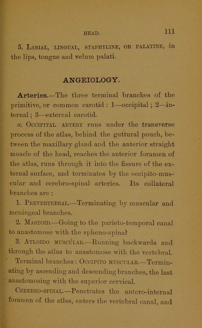 5. Labial, lingual, staphyline, or palatine, in the lips, tongue and velum palati. ANGEIOLOGY. Arteries.—The three terminal branches of the primitive, or common carotid : 1—occipital; 2—in- ternal ; 3—external carotid. a. Occipital artery runs under the transverse process of the atlas, behind the guttural pouch, be- tween the maxillary gland and the anterior straight muscle of the head, reaches the anterior foramen of the atlas, runs through it into the fissure of the ex- ternal surface, and terminates by the occipito-mus- cular and cerebro-spinal arteries. Its collateral branches are : 1. Prevertebral.—Terminating by muscular and meningeal branches. 2. Mastoid.—Going to the parieto-temporal canal to anastomose with the spheno-spinal 3. Atloido muscular.—Running backwards and through the atlas to anastomose with the vertebral. Terminal branches : Occipito muscular.—Termin- ating by ascending and descending branches, the last anastomosing with the superior cervical. Cerebro-spinal.—Penetrates the antero-internal foramen of the atlas, enters the vertebral canal, and