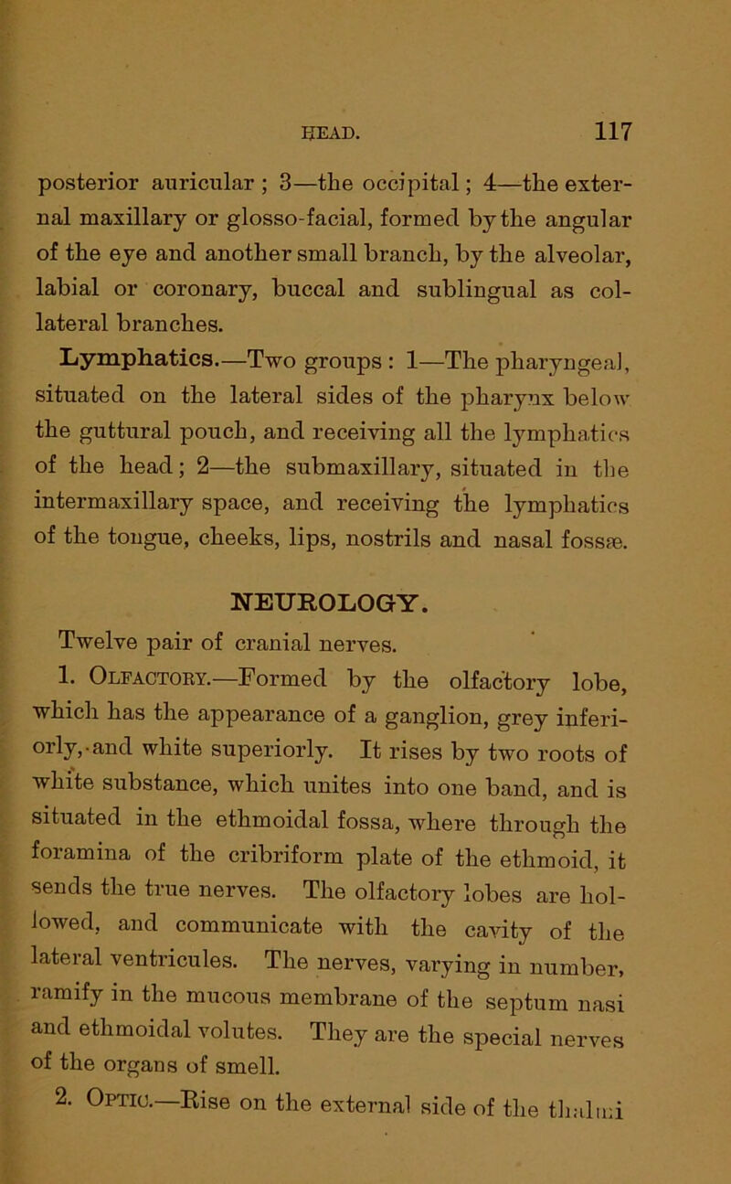 posterior auricular ; 3—the occipital; 4—the exter- nal maxillary or glosso-facial, formed by the angular of the eye and another small branch, by the alveolar, labial or coronary, buccal and sublingual as col- lateral branches. Lymphatics.—Two groups : 1—The pharyngeal, situated on the lateral sides of the pharynx below the guttural pouch, and receiving all the lymphatics of the head; 2—the submaxillary, situated in the intermaxillary space, and receiving the lymphatics of the tongue, cheeks, lips, nostrils and nasal fossm. NEUROLOGY. Twelve pair of cranial nerves. 1. Olfactory.—Formed by the olfactory lobe, which has the appearance of a ganglion, grey inferi- °rly,-and white superiorly. It rises by two roots of white substance, which unites into one band, and is situated in the ethmoidal fossa, where through the foramina of the cribriform plate of the ethmoid, it sends the true nerves. The olfactory lobes are hol- lowed, and communicate with the cavity of the lateral ventricules. The nerves, varying in number, ramify in the mucous membrane of the septum nasi and ethmoidal volutes. They are the special nerves of the organs of smell. 2. Optic.—Rise on the external side of the thalud