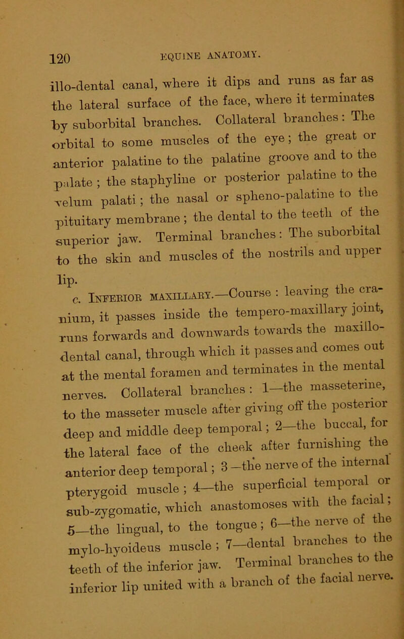 illo-dental canal, where it dips and runs as far as the lateral surface of the face, where it terminates Toy suborbital branches. Collateral branches: The orbital to some muscles of the eye ; the great or anterior palatine to the palatine groove and to the palate ; the stapliyline or posterior palatine to the velum palati; the nasal or spheno-palatine to the pituitary membrane ; the dental to the teeth of the superior jaw. Terminal branches: The suborbital to the skin and muscles of the nostrils and upper lip- . ,1 c. Inferior maxillary.—Course : leaving the cra- nium, it passes inside the tempero-maxillary joint, runs forwards and downwards towards the maxillo- dental canal, through which it passes and comes out at the mental foramen and terminates in the mental nerves. Collateral branches: 1—the massetenne, to the masseter muscle after giving off the postei ’ deep and middle deep temporal; 2—the buccal, for the lateral face of the cheek after furnishing the anterior deep temporal; 3 -the nerve of the internal pterygoid muscle ; 4-tlie superficial temporal oi sub-zygomatic, which anastomoses with the facial, 5—the lingual, to the tongue; 6-the nerve of the mylo-hyoideus muscle ; 7-dental branches to the teeth of the inferior jaw. Terminal branches to the inferior lip united with a branch of the facial neive.