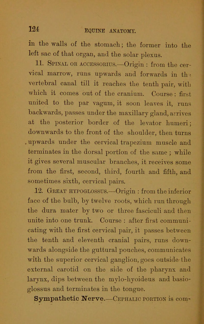 in the walls of the stomach; the former into the left sac of that organ, and the solar plexus. 11. Spinal or accessorius.—Origin : from the cer- vical marrow, runs upwards and forwards in til- vertebral canal till it reaches the tenth pair, with which it comes out of the cranium. Course : first united to the par vagum, it soon leaves it, runs backwards, passes under the maxillary gland, arrives at the posterior border of the levator humeri; downwards to the front of the shoulder, then turns . upwards under the cervical trapezium muscle and terminates in the dorsal portion of the same ; while it gives several muscular branches, it receives some from the first, second, third, fourth and fifth, and sometimes sixth, cervical pairs. 12. Great hypoglossus.—Origin : from the inferior face of the bulb, by twelve roots, which run through the dura mater by two or three fasciculi and then unite into one trunk. Course : after first communi- cating with the first cervical pair, it passes between the tenth and eleventh cranial pairs, runs down- wards alongside the guttural pouches, communicates with the superior cervical ganglion, goes outside the external carotid on the side of the pharynx and larynx, dips between the mylo-hyoideus and basio- glossus and terminates in the tongue. Sympathetic Nerve.—Cephalic portion is com-