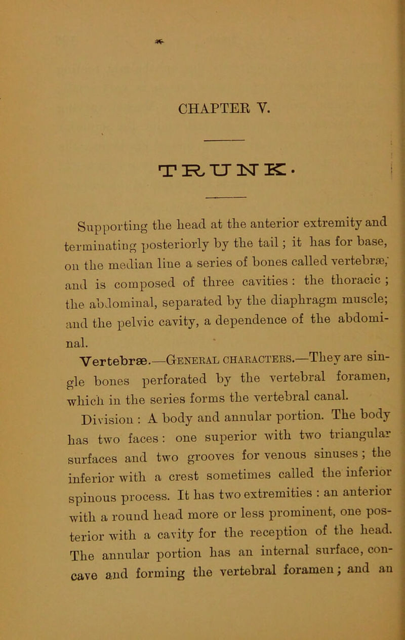 TRUNK- Supporting tlie head at the anterior extremity and terminating posteriorly by the tail; it has for base, on the median line a series of bones called vertebrae; and is composed of three cavities : the thoracic , the abdominal, separated by the diaphragm muscle; and the pelvic cavity, a dependence of the abdomi- nal. Vertebrae.—General characters.—1They are sin- gle bones perforated by the vertebral foramen, which in the series forms the vertebral canal. Division : A body and annular portion. The body has two faces: one superior with two triangular surfaces and two grooves for venous sinuses ; the inferior with a crest sometimes called the inferior spinous process. It has two extremities : an anterior with a round head more or less prominent, one pos- terior with a cavity for the reception of the head. The annular portion has an internal surface, con- cave and forming the vertebral foramen; and au