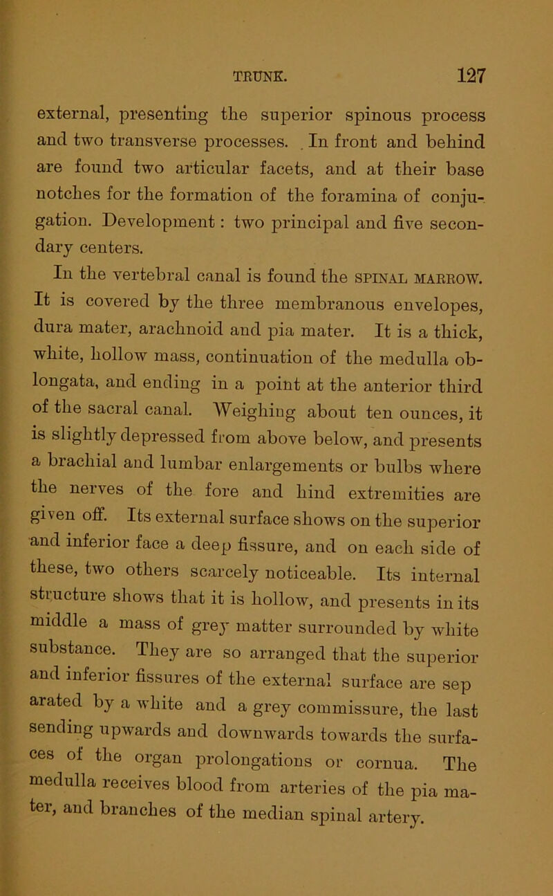 external, presenting the superior spinons process ancl two transverse processes. . In front and behind are found two articular facets, and at their base notches for the formation of the foramina of conju- gation. Development: two principal and five secon- dary centers. In the vertebral canal is found the spinal marrow. It is covered by the three membranous envelopes, dura mater, arachnoid and pia mater. It is a thick, white, hollow mass, continuation of the medulla ob- longata, and ending in a point at the anterior third of the sacral canal. Weighing about ten ounces, it is slightly depressed from above below, and presents a brachial and lumbar enlargements or bulbs where the nerves of the fore and hind extremities are given off. Its external surface shows on the superior and inferior face a deep fissure, and on each side of these, two others scarcely noticeable. Its internal structure shows that it is hollow, and presents in its middle a mass of grey matter surrounded by white substance. They are so arranged that the superior and inferior fissures of the external surface are sep arated by a white and a grey commissure, the last sending upwards aud downwards towards the surfa- ces of the organ prolongations or cornua. The medulla receives blood from arteries of the pia ma- ter, and branches of the median spinal artery.
