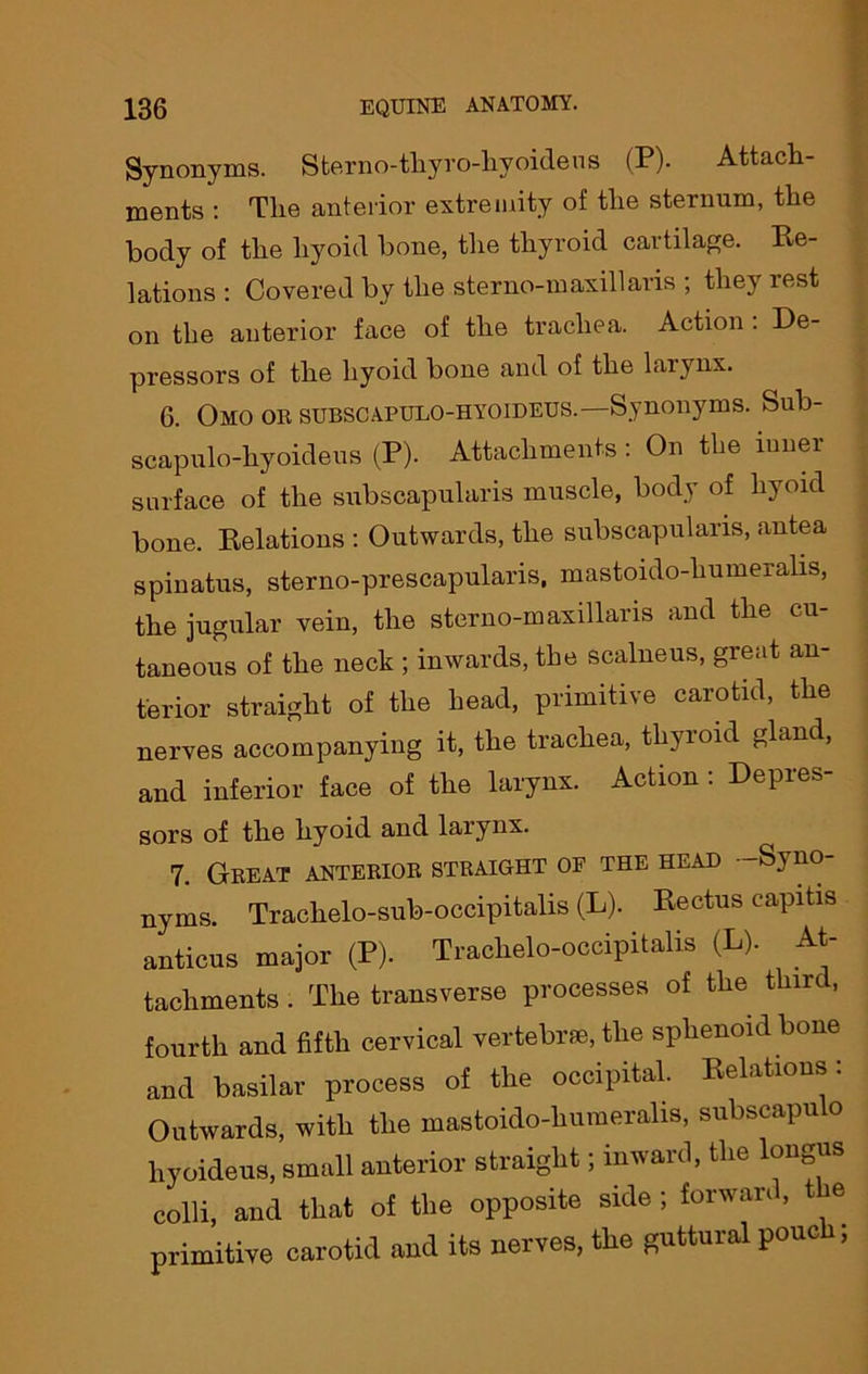 Synonyms. Sterno-thyro-hyoideus (P). Attach- ments : The anterior extremity of the sternum, the body of the hyoid bone, the thyroid cartilage. Re- lations : Covered by the sterno-maxillaris ; they rest on the anterior face of the trachea. Action . De- pressors of the hyoid bone and of the laiynx. 6. Omo or subscapulo-hyoideus.—Synonyms. Sub- scapulo-hyoideus (P). Attachments : On the inner surface of the subscapularis muscle, body of hyoid bone. Relations : Outwards, the subscapularis, antea spinatus, sterno-prescapularis, mastoido-humeralis, the jugular vein, the sterno-m axillaris and the cu- taneous of the neck ; inwards, the scalneus, great an- terior straight of the head, primitive carotid, the nerves accompanying it, the trachea, thyroid gland, and inferior face of the larynx. Action: Depres- sors of the hyoid and larynx. 7. Great anterior straight op the head -Syno- nyms. Trachelo-sub-occipitalis (L). Rectus capitis anticus major (P). Trachelo-occipitalis (L). At- tachments . The transverse processes of the third, fourth and fifth cervical vertebrae, the sphenoid bone and basilar process of the occipital. Relations: Outwards, with the mastoido-humeralis, subscapulo hyoideus, small anterior straight; inward, the longus colli, and that of the opposite side ; forward, the primitive carotid and its nerves, the guttural pouc ;