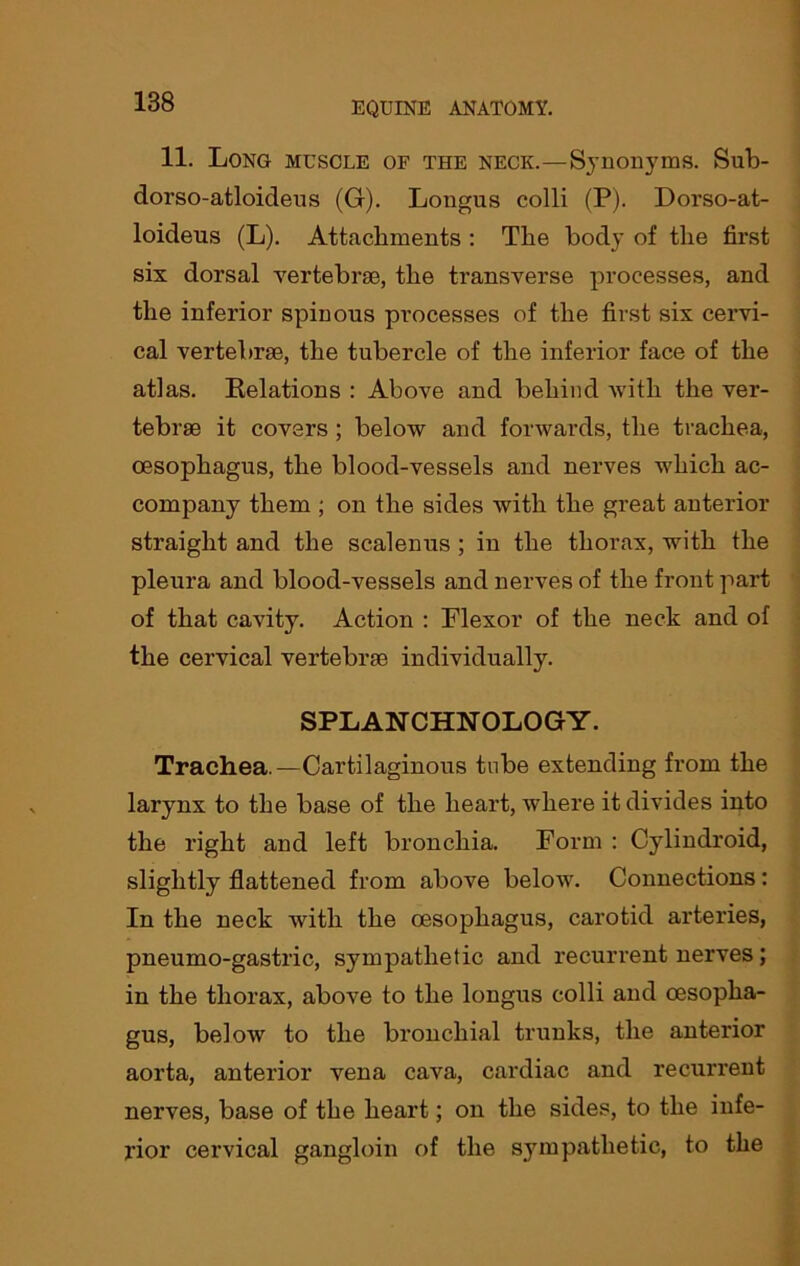 11. Long muscle of the neck.—Synonyms. Sub- dorso-atloicleus (G). Longus colli (P). Dorso-at- loideus (L). Attachments : The body of the first six dorsal vertebrae, the transverse processes, and the inferior spinous processes of the first six cervi- cal vertebrae, the tubercle of the inferior face of the atlas. Relations : Above and behind with the ver- tebrae it covers ; below and forwards, the trachea, oesophagus, the blood-vessels and nerves which ac- company them ; on the sides with the great anterior straight and the scalenus ; in the thorax, with the pleura and blood-vessels and nerves of the front part of that cavity. Action : Flexor of the neck and of the cervical vertebrae individually. SPLANCHNOLOGY. Trachea.—Cartilaginous tube extending from the larynx to the base of the heart, where it divides into the right and left bronchia. Form : Cylindroid, slightly flattened from above below. Connections : In the neck with the oesophagus, carotid arteries, pneumo-gastric, sympathetic and recurrent nerves; in the thorax, above to the longus colli and oesopha- gus, below to the bronchial trunks, the anterior aorta, anterior vena cava, cardiac and recurrent nerves, base of the heart; on the sides, to the infe- rior cervical gangloin of the sympathetic, to the