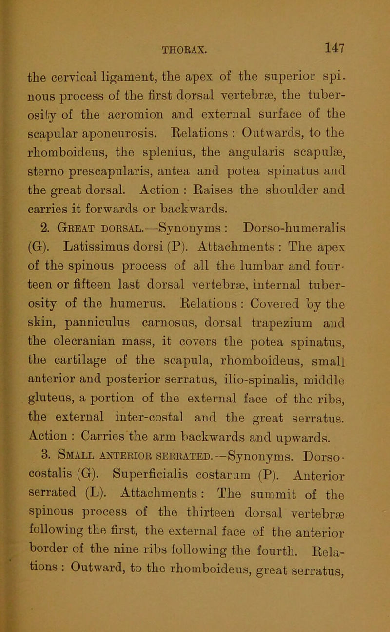 the cervical ligament, the apex of the superior spi- nous process of the first dorsal vertebrae, the tuber- osity of the acromion and external surface of the scapular aponeurosis. Relations : Outwards, to the rhomboideus, the spleuius, the angularis scapulae, sterno prescapularis, antea and potea spinatus and the great dorsal. Action : Raises the shoulder and carries it forwards or backwards. 2. Great dorsal.—Synonyms : Dorso-humeralis (G). Latissimus dorsi (P). Attachments : The apex of the spinous process of all the lumbar and four- teen or fifteen last dorsal vertebrae, internal tuber- osity of the humerus. Relations : Covered by the skin, panniculus carnosus, dorsal trapezium and the olecranian mass, it covers the potea spinatus, the cartilage of the scapula, rhomboideus, small anterior and posterior serratus, ilio-spinalis, middle gluteus, a portion of the external face of the ribs, the external inter-costal and the great serratus. Action : Carries the arm backwards and upwards. 3. Small anterior serrated.—Synonyms. Dorso- costalis (G). Superficialis costarum (P). Anterior serrated (L). Attachments: The summit of the spinous process of the thirteen dorsal vertebras following the first, the external face of the anterior border of the nine ribs following the fourth. Rela- tions : Outward, to the rhomboideus, great serratus,