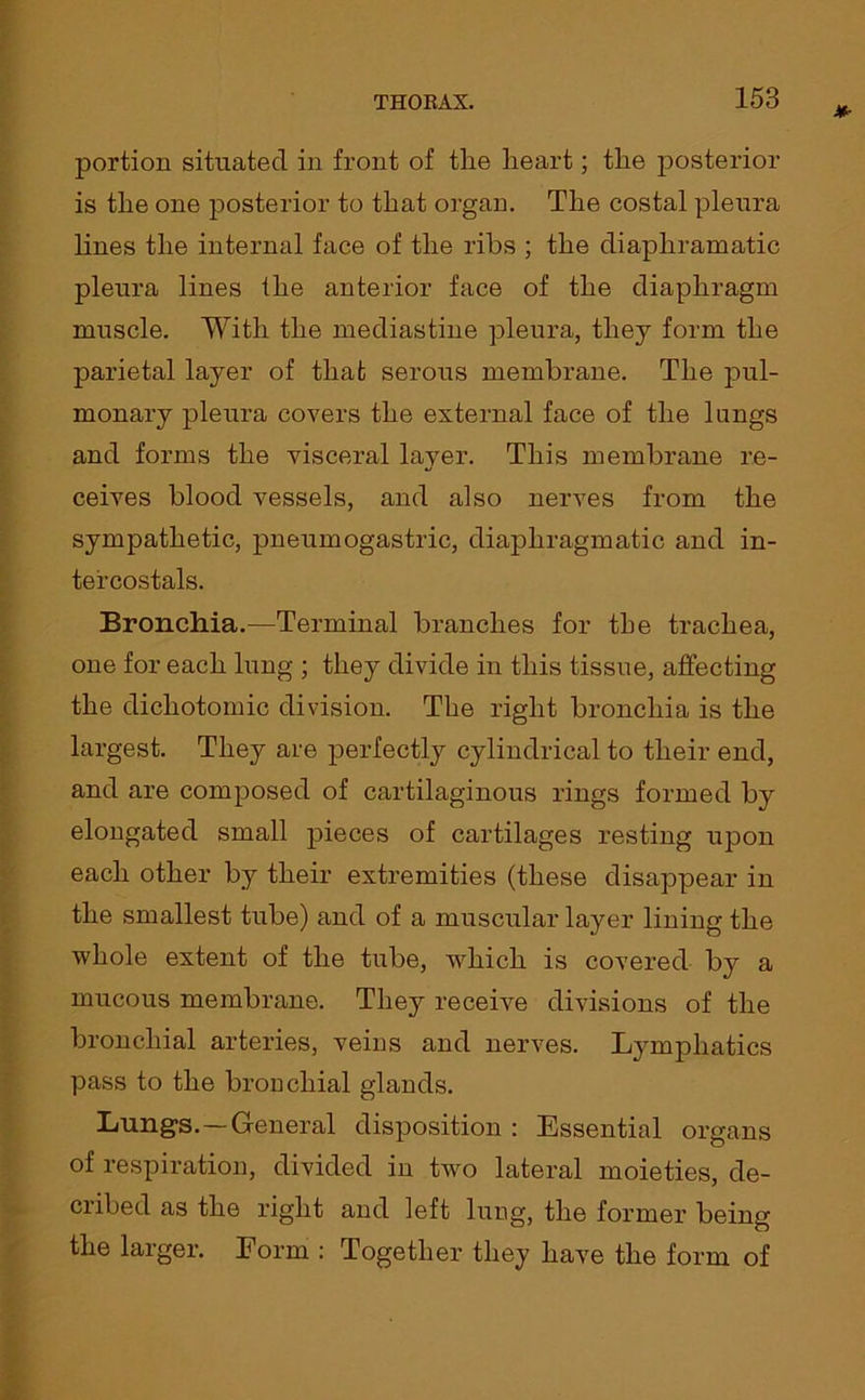 portion situated in front of tlie heart; the posterior is the one posterior to that organ. The costal pleura lines the internal face of the ribs ; the diapliramatic pleura lines the anterior face of the diaphragm muscle. With the mediastine pleura, they form the parietal layer of that serous membrane. The pul- monary pleura covers the external face of the lungs and forms the visceral layer. This membrane re- ceives blood vessels, and also nerves from the sympathetic, pneumogastric, diaphragmatic and in- telcostals. Bronchia.—Terminal branches for the trachea, one for each lung ; they divide in this tissue, affecting the dichotomic division. The right bronchia is the largest. They are perfectly cylindrical to their end, and are composed of cartilaginous rings formed by elongated small pieces of cartilages resting upon each other by their extremities (these disappear in the smallest tube) and of a muscular layer lining the whole extent of the tube, which is covered by a mucous membrane. They receive divisions of the bronchial arteries, veins and nerves. Lymphatics pass to the bronchial glands. Lungs.—General disposition : Essential organs of respiration, divided in two lateral moieties, de- cribed as the right and left lung, the former being the larger. Form : Together they have the form of