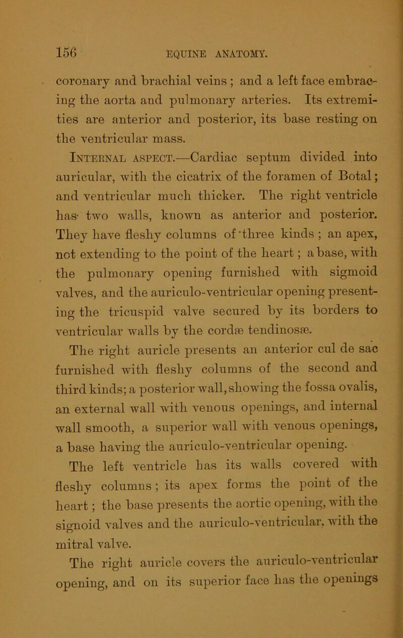 coronary and brachial veins ; and a left face embrac- ing the aorta and pulmonary arteries. Its extremi- ties are anterior and posterior, its base resting on the ventricular mass. Internal aspect.—Cardiac septum divided into auricular, with the cicatrix of the foramen of Botal; and ventricular much thicker. The right ventricle has- two walls, known as anterior and posterior. They have fleshy columns of'three kinds ; an apex, net extending to the point of the heart; abase, with the pulmonary opening furnished with sigmoid valves, and the auriculo-ventricular opening present- ing the tricuspid valve secured by its borders to ventricular walls by the cordse tendinosm. The right auricle presents an anterior cul de sac furnished with fleshy columns of the second and third kinds; a posterior wall, showing the fossa ovalis, an external wall with venous openings, and internal wall smooth, a superior wall with venous openings, a base having the auriculo-ventricular opening. The left ventricle has its walls covered with fleshy columns; its apex forms the point of the heart; the base presents the aortic opening, with the signoid valves and the auriculo-ventricular, with the mitral valve. The right auricle covers the auriculo-ventricular opening, and on its superior face has the openings