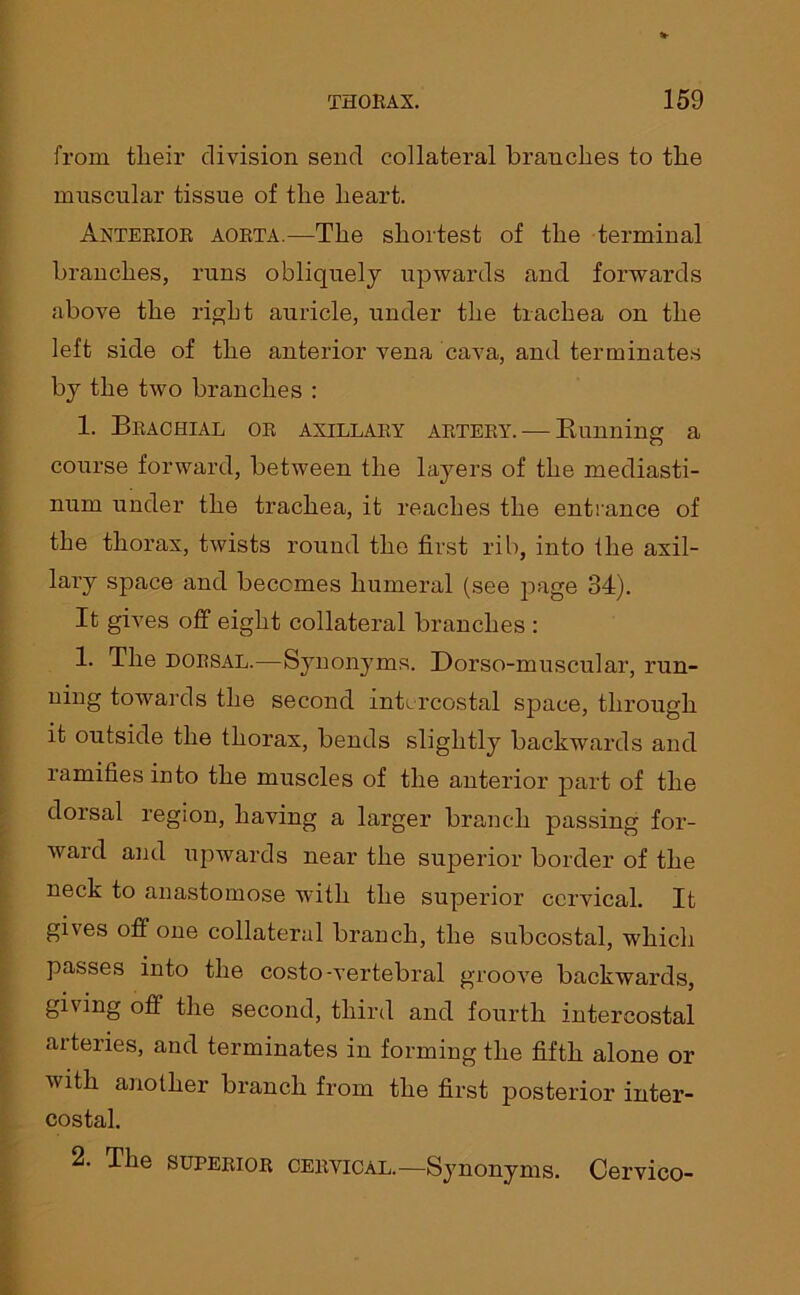 from their division send collateral branches to the muscular tissue of the heart. Anterior aorta.—The shortest of the terminal branches, runs obliquely upwards and forwards above the right auricle, under the trachea on the left side of the anterior vena cava, and terminates by the two branches : 1. Brachial or axillary artery. — Banning a course forward, between the layers of the mediasti- num under the trachea, it reaches the entrance of the thorax, twists round the first rib, into the axil- lary space and becomes humeral (see page 34). It gives off eight collateral branches : 1. The dorsal.—Synonyms. Dorso-muscular, run- ning towards the second intercostal space, through it outside the thorax, bends slightly backwards and ramifies into the muscles of the anterior part of the dorsal region, having a larger branch passing for- ward and upwards near the superior border of the neck to anastomose with the superior cervical. It gives off one collateral branch, the subcostal, which passes into the costo-vertebral groove backwards, giving off the second, third and fourth intercostal arteries, and terminates in forming the fifth alone or with another branch from the first posterior inter- costal. 2. The superior cervical.—Synonyms. Cervico-