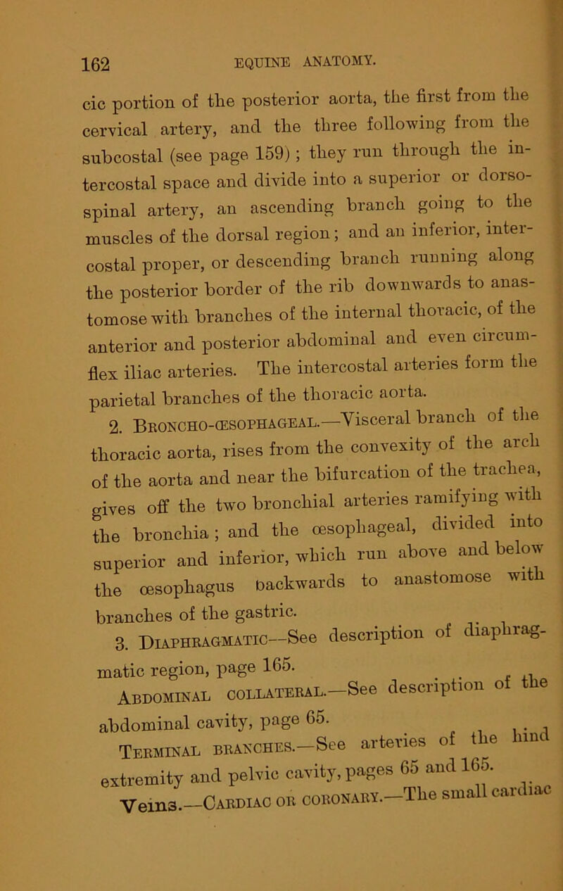 cic portion of tlie posterior aorta, the first from the cervical artery, and the three following from the subcostal (see page 159); they run through the in- tercostal space and divide into a superior or dorso- spinal artery, an ascending branch going to the muscles of the dorsal region; and an inferior, inter- costal proper, or descending branch running along tlie posterior border of the rib downwards to anas- tomose with branches of the internal thoracic, of the anterior and posterior abdominal and even circum- flex iliac arteries. The intercostal arteries form the parietal branches of the thoracic aorta. 2. Broncho-cesophageal.—Visceral branch of the thoracic aorta, rises from the convexity of the arch of the aorta and near the bifurcation of the trachea, gives off the two bronchial arteries ramifying with the bronchia; and the oesophageal, divided into superior and inferior, which run above and below the oesophagus backwards to anastomose wit branches of the gastric. 3. Diaphragmatic—See description of diaphrag- matic region, page 165. t Abdominal collateral. See description ot the abdominal cavity, page 65. . , Terminal branches.—See arteries o t ie nnc extremity and pelvic cavity, pages 65 and 165. Vem3.—Cardiac or coronary—TLc small cardiac