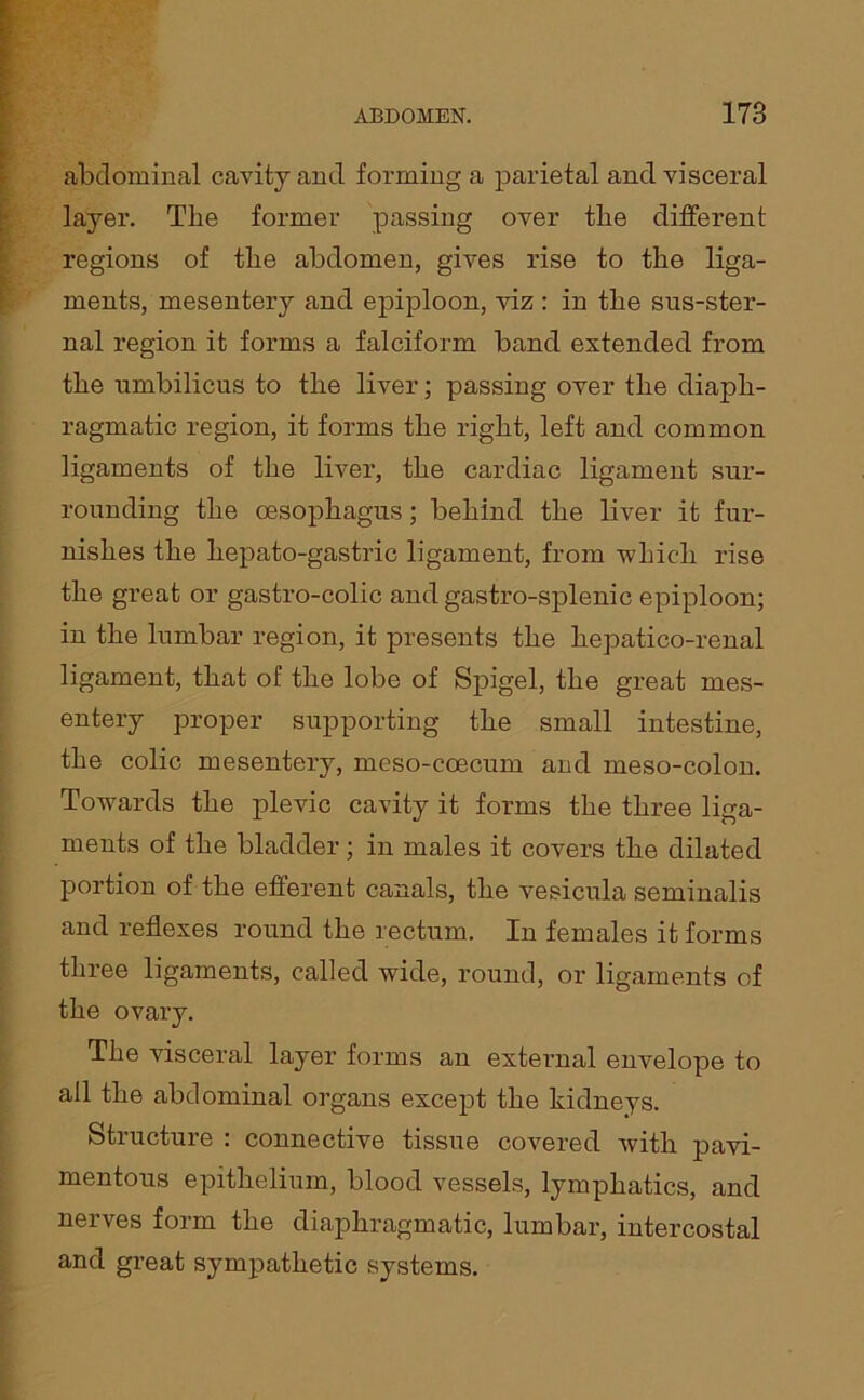 abdominal cavity and forming a parietal and visceral layer. The former passing over the different regions of the abdomen, gives rise to the liga- ments, mesentery and epiploon, viz : in the sus-ster- nal region it forms a falciform band extended from the umbilicus to the liver; passing over the diaph- ragmatic region, it forms the right, left and common ligaments of the liver, the cardiac ligament sur- rounding the oesophagus; behind the liver it fur- nishes the hepato-gastric ligament, from which rise the great or gastro-colic and gastro-splenic epiploon; in the lumbar region, it presents the hepatico-renal ligament, that of the lobe of Spigel, the great mes- entery proper supporting the small intestine, the colic mesentery, meso-coecum and meso-colon. Towards the plevic cavity it forms the three liga- ments of the bladder; in males it covers the dilated portion of the efferent canals, the vesicula seminalis and reflexes round the rectum. In females it forms three ligaments, called wide, round, or ligaments of the ovary. The visceral layer forms an external envelope to ail the abdominal organs except the kidneys. Structure : connective tissue covered with pavi- mentous epithelium, blood vessels, lymphatics, and nerves form the diaphragmatic, lumbar, intercostal and great sympathetic systems.