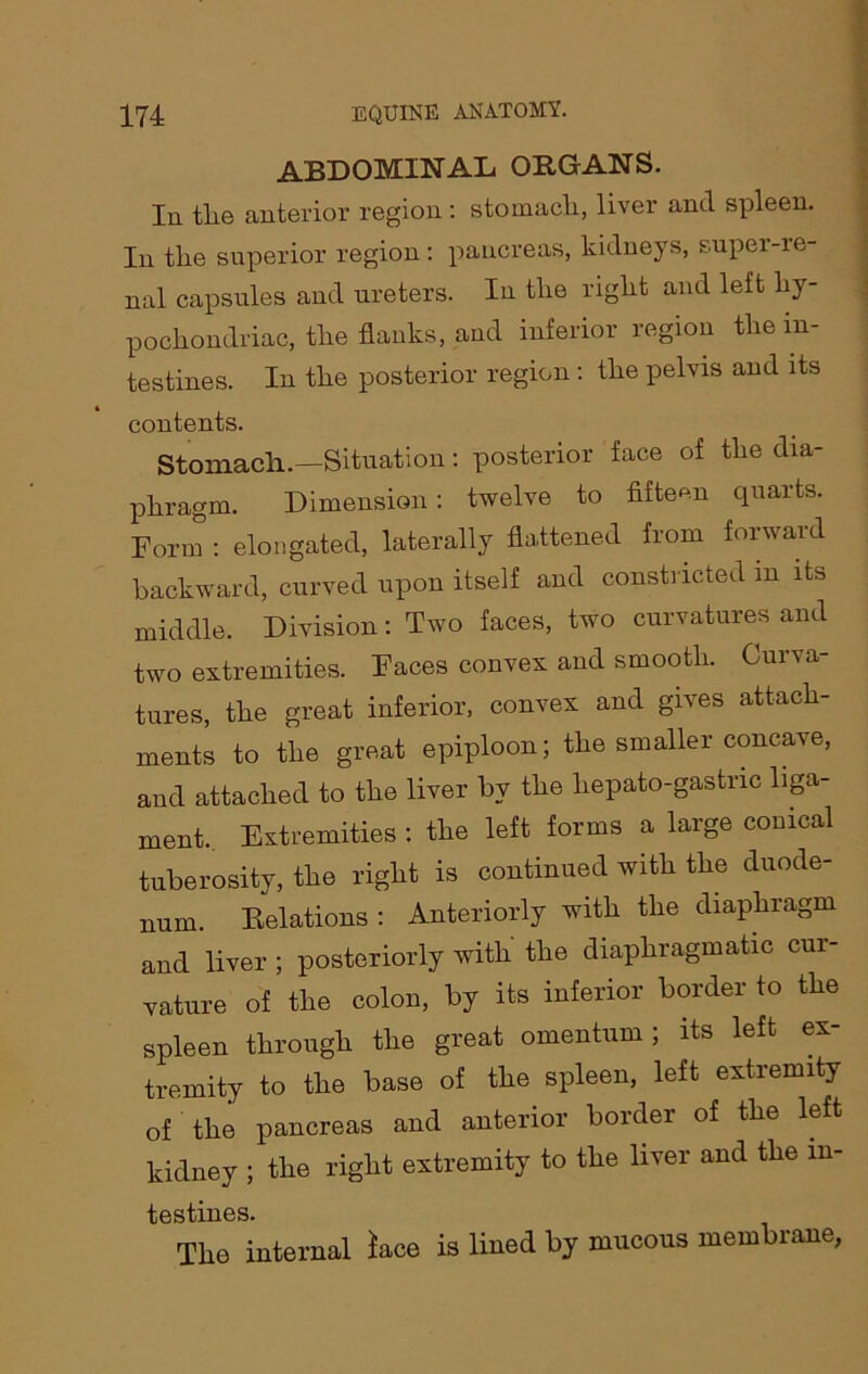 abdominal organs. Ill the anterior region : stomach, liver and spleen. In the superior region : pancreas, kidneys, super-re- nal capsules and ureters. In the right and left hy- pochondriac, the flanks, and inferior region the in- testines. In the posterior region : the pelvis and its contents. Stomach.—Situation: posterior face of the dia- phragm. Dimension : twelve to fifteen quarts. Form : elongated, laterally flattened from forward backward, curved upon itself and constricted in its middle. Division: Two faces, two curvatures and two extremities. Faces convex and smooth. Curva- tures, the great inferior, convex and gives attach- ments to the great epiploon; the smaller concave, and attached to the liver by the hepato-gastric liga- ment. Extremities : the left forms a large conical tuberosity, the right is continued with the duode- num. Relations : Anteriorly with the diaphragm and liver ; posteriorly with the diaphragmatic cur- vature of the colon, by its inferior border to the spleen through the great omentum ; its left ex- tremity to the base of the spleen, left extremity of the pancreas and anterior border of the left kidney ; the right extremity to the liver and the in- testines. The internal lace is lined by mucous membrane,