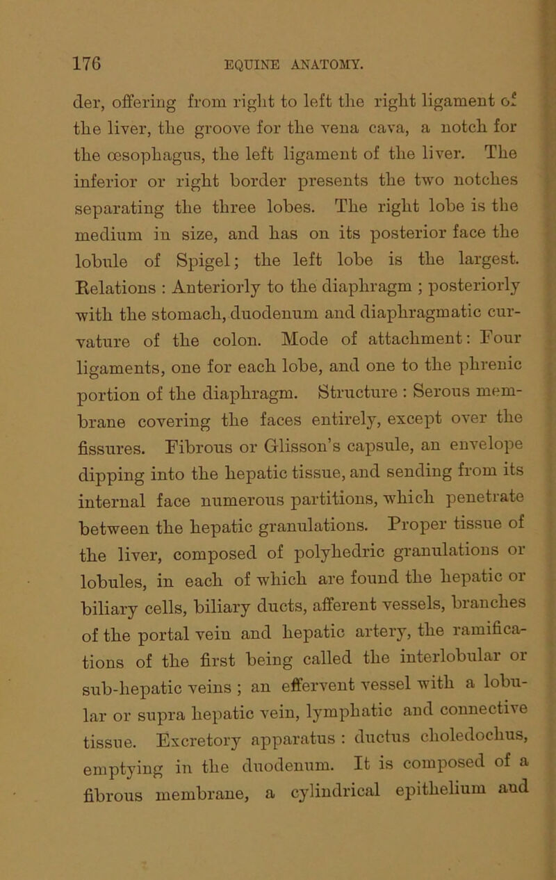 der, offering from right to left the right ligament of the liver, the groove for the vena cava, a notch for the oesophagus, the left ligament of the liver. The inferior or right border presents the two notches separating the three lobes. The right lobe is the medium in size, and has on its posterior face the lobule of Spigel; the left lobe is the largest. Eelations : Anteriorly to the diaphragm ; posteriorly with the stomach, duodenum and diaphragmatic cur- vature of the colon. Mode of attachment: Four ligaments, one for each lobe, and one to the phrenic portion of the diaphragm. Structure : Serous mem- brane covering the faces entirely, except over the fissures. Fibrous or Glisson’s capsule, an envelope dipping into the hepatic tissue, and sending from its internal face numerous partitions, which penetrate between the hepatic granulations. Proper tissue of the liver, composed of polyhedric granulations or lobules, in each of which are found the hepatic or biliary cells, biliary ducts, afferent vessels, branches of the portal vein and hepatic artery, the ramifica- tions of the first being called the interlobular or sub-hepatic veins ; an effervent vessel with a lobu- lar or supra hepatic vein, lymphatic and connective tissue. Excretory apparatus : ductus clioledochus, emptying in the duodenum. It is composed of a fibrous membrane, a cylindrical epithelium aud