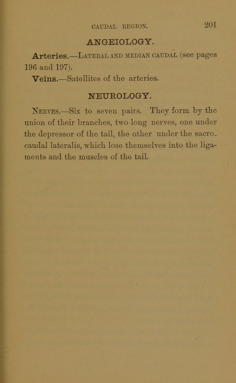 CAUDAL REGION. ANGEIOLOGY. Arteries.—Lateral and median caudal (see pages 196 and 197). Veins.—Satellites of the arteries. NEUROLOGY. Nerves.—Six to seven pairs. They form by the union of their branches, two long nerves, one under the depressor of the tail, the other under the sacro_ caudal lateralis, which lose themselves into the liga- ments and the muscles of the tail.