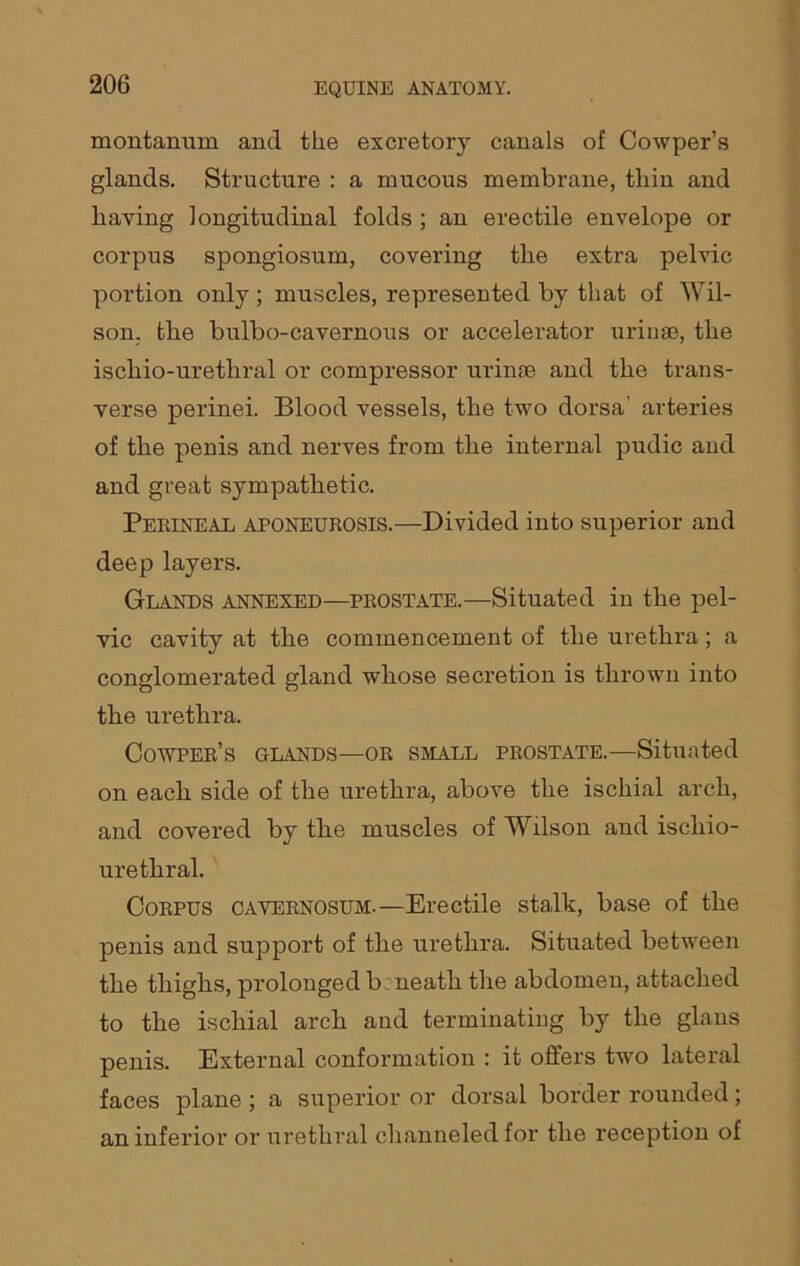 montanum and the excretory canals of Cowper’s glands. Structure : a mucous membrane, thin and having longitudinal folds ; an erectile envelope or corpus spongiosum, covering the extra pelvic portion only ; muscles, represented by that of Wil- son. the bulbo-cavernous or accelerator uriuse, the ischio-uretliral or compressor urinse and the trans- verse perinei. Blood vessels, the two dorsa’ arteries of the penis and nerves from the internal pudic and and great sympathetic. Perineal aponeurosis.—Divided into superior and deep layers. Glands annexed—prostate.—Situated in the pel- vic cavity at the commencement of the urethra; a conglomerated gland whose secretion is thrown into the urethra. Cowper’s glands—or small prostate.—Situated on each side of the urethra, above the ischial arch, and covered by the muscles of Wilson and ischio- uretliral. Corpus cavernosum.— Erectile stalk, base of the penis and support of the urethra. Situated between the thighs, prolonged b:neath the abdomen, attached to the ischial arch and terminating by the glaus penis. External conformation : it offers two lateral faces plane ; a superior or dorsal border rounded; an inferior or urethral channeled for the reception of