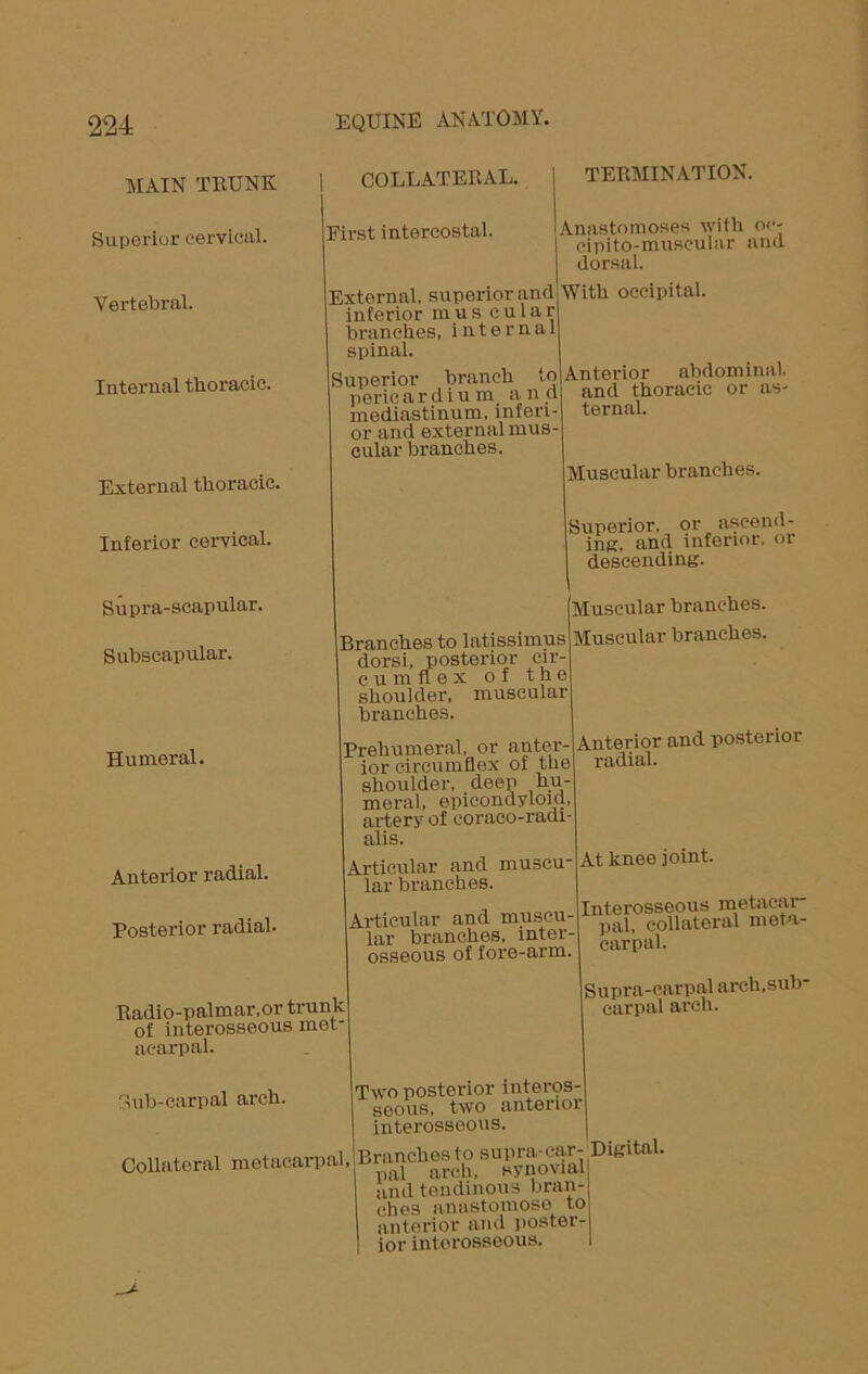 MAIN TRUNK Superior cervical. Vertebral. Internal thoracic. External thoracic. Inferior cervical. Supra-scapular. Subscapular. Humeral. Anterior radial. Posterior radial. COLLATERAL. First intercostal. termination. Anastomoses with oc- cipito-museulnr and dorsal. External, superior and With occipital, inferior mas cular branches, internal spinal. Snnerior branch to Anterior abdominal, pericardium, and and thoracic or as- mediastinum, infen- ternal. or and external mus- cular branches. Muscular branches. Superior, or ascend - iiig, and inferior, or descending. Branches to latissimus dorsi, posterior cir- e u m fl e x of the shoulder, muscular branches. Prehumeral, or anter ior circumflex of the shoulder, deep hu- meral, epicondyloid artery of coraco-radi alis. Articular and muscu lar branches. Articular and muscu- lar branches, inter- osseous of fore-arm. Muscular branches. Muscular branches. Radio-palmar, or trunk of interosseous met- acarpal. Bub-carpal arch. Collateral metacarpal. Anterior and posterior radial. At knee joint. Interosseous metacar- pal, collateral meta- carpal. Supra-carpal arch,sub- carpal arch. Two posterior interos- seous, two anterioi interosseous. Branches to supra-car- Digital, pal arch, synovial and tendinous bran- ches anastomose to anterior and poster- ior interosseous.