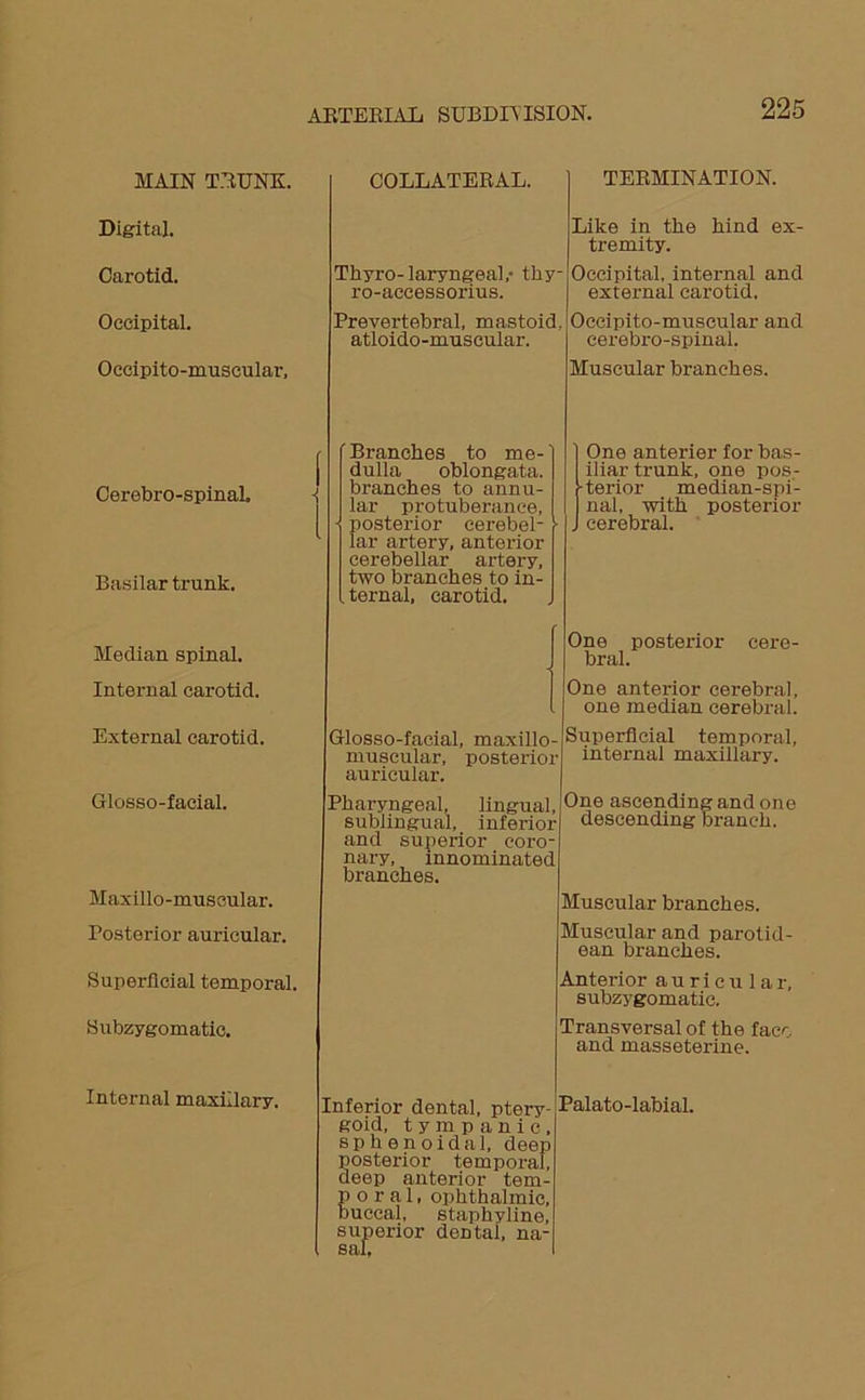 MAIN TRUNK. Digital. Carotid. Occipital. Occipito-muscular, Cerebro-spinah Basilar trunk. Median spinal. Internal carotid. External carotid. Glosso-facial. Maxillo-muscular. Posterior auricular. Superficial temporal. Subzygomatic. Internal maxillary. COLLATERAL. Thyro-laryngeal,- thy- ro-accessorius. Prevertebral, mastoid, atloido-muscular. Branches to me-' dulla oblongata, branches to annu- lar protuberance, posterior eerebel- • lar artery, anterior cerebellar artery, two branches to in- ternal, carotid. Glosso-facial, maxillo- muscular, posterior auricular. Pharyngeal, lingual, sublingual, inferior and superior coro- nary, innominated branches. Inferior dental, ptery- goid, tympanic, sphenoidal, deep posterior temporal, deep anterior tem- p o r a 1, ophthalmic, buccal, staphyline, superior deDtal, na- sal. TERMINATION. Like in the hind ex- tremity. Occipital, internal and external carotid. Occipito-muscular and cerebro-spinal. Muscular branches. One anterier for bas- iliar trunk, one pos- terior median-spi- nal, with posterior . cerebral. One posterior cere- bral. One anterior cex-ebral, one median cerebral. Superficial temporal, internal maxillary. One ascending and one descending branch. Muscular branches. Muscular and parotkl- ean branches. Anterior auricular, subzygomatic. Transversal of the face and masseterine. Palato-labial.