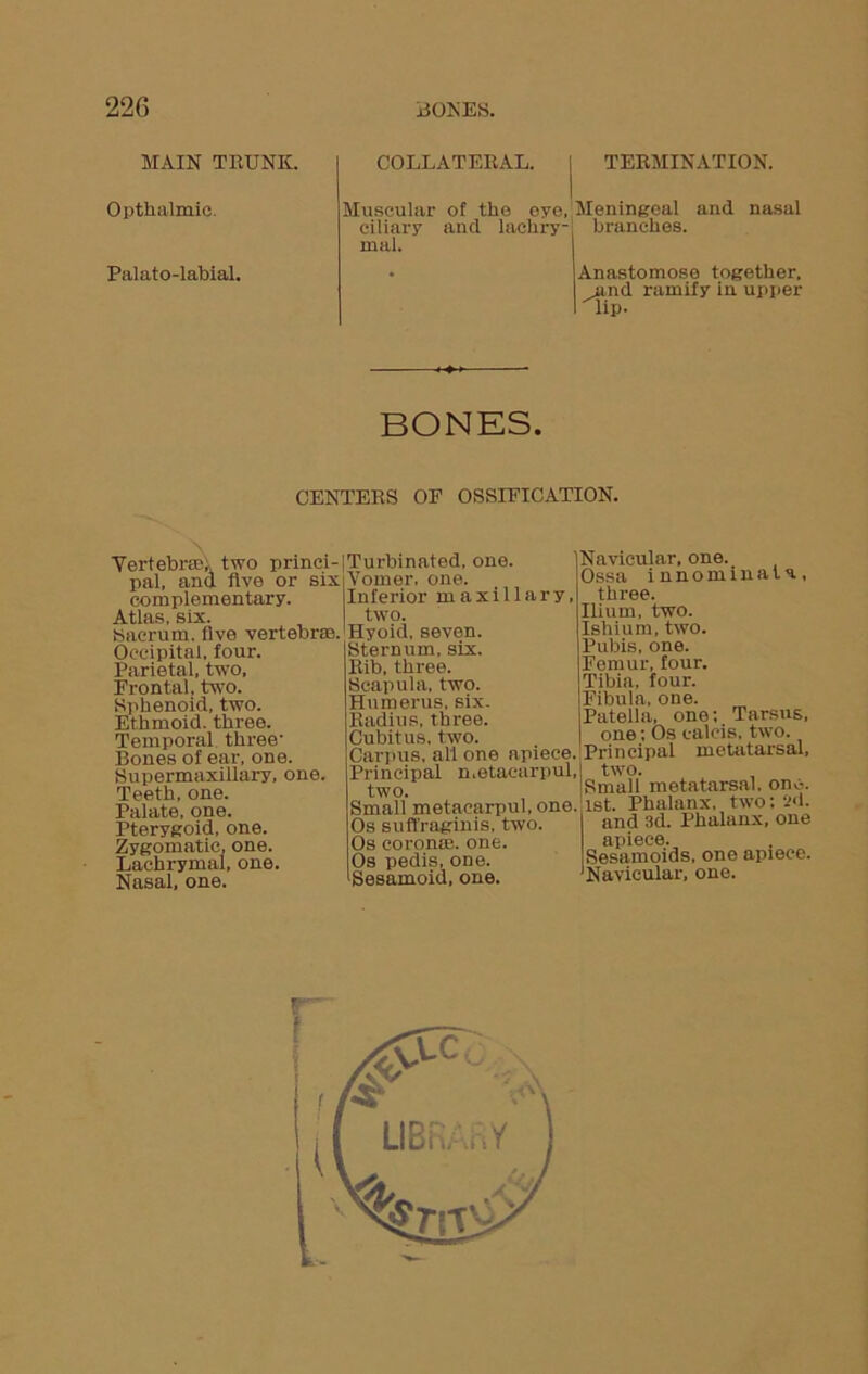 MAIN TRUNK. Opthalmic. Palato-labial. COLLATERAL. I TERMINATION. Muscular of the oyc, Meningeal and nasal ciliary and lacliry- branches, mal. • Anastomose together. and ramify in upper np- BONES. CENTERS OE OSSIFICATION. Vertebra* two princi- pal, and five or six complementary. Atlas, six. Sacrum, live vertebras. Occipital, four. Parietal, two. Frontal, two. Sphenoid, two. Ethmoid, three. Temporal three- Bones of ear, one. Supermaxillary, one. Teeth, one. Palate, one. Pterygoid, one. one. , one. Nasal, one. Zygomatic. Lachrymal Turbinated, one. Vomer, one. Inferior maxillary, two. Hyoid, seven. Sternum, six. Rib, three. Scapula, two. Humerus, six. Radius, three. Cubitus, two. Carpus, all one apiece. Principal metaearpul, two. Small metaearpul, one. Os suffraginis, two. Os coronae. one. Os pedis, one. Sesamoid, one. Navicular, one. Ossa innommala, three. Ilium, two. Ishium, two. Pubis, one. Femur, four. Tibia, four. Fibula, one. Patella, one; Tarsus, one; Os ealcis, two. Principal metatarsal, two. Small metatarsal, one. 1st. Phalanx, two; 2d. and 3d. Phalanx, one apiece. Sesamoids, one apiece. Navicular, one. T: