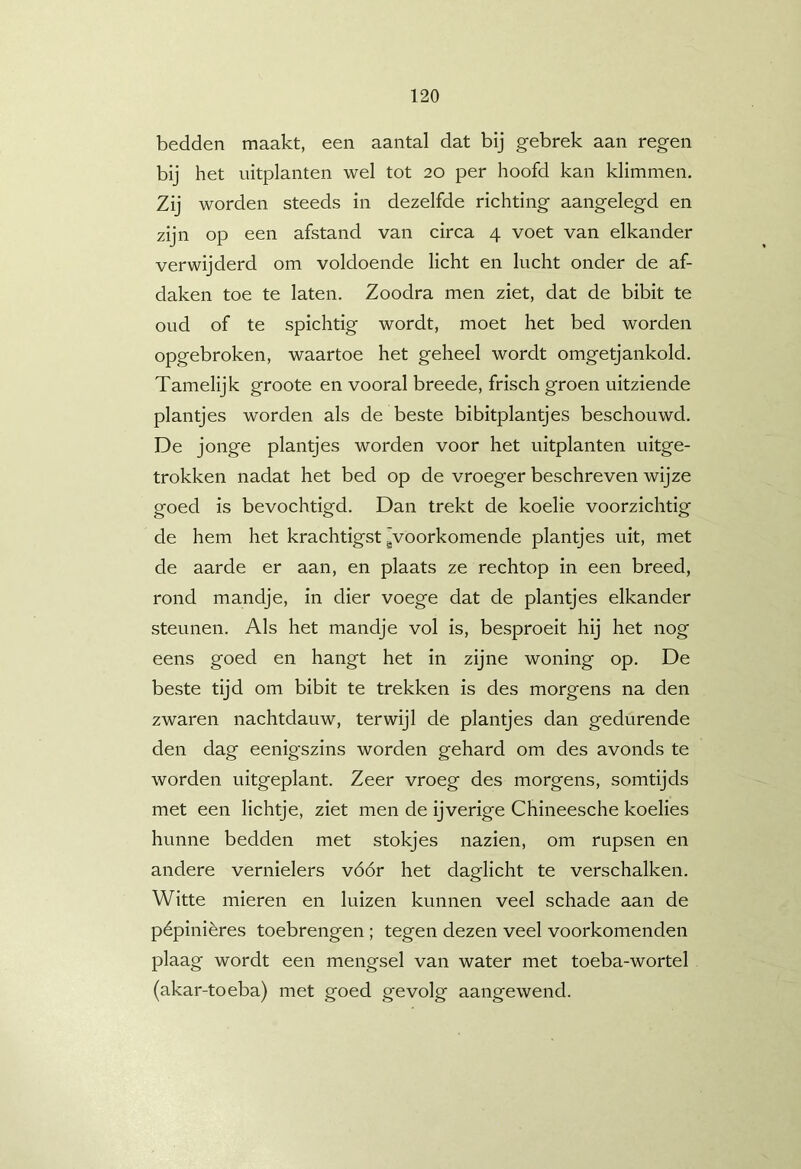 bedden maakt, een aantal dat bij gebrek aan regen bij het uitplanten wel tot 20 per hoofd kan klimmen. Zij worden steeds in dezelfde richting aangelegd en zijn op een afstand van circa 4 voet van elkander verwijderd om voldoende licht en lucht onder de af- daken toe te laten. Zoodra men ziet, dat de bibit te oud of te spichtig wordt, moet het bed worden opgebroken, waartoe het geheel wordt omgetjankold. Tamelijk groote en vooral breede, frisch groen uitziende plantjes worden als de beste bibitplantjes beschouwd. De jonge plantjes worden voor het uitplanten uitge- trokken nadat het bed op de vroeger beschreven wijze goed is bevochtigd. Dan trekt de koelie voorzichtig de hem het krachtigst ^voorkomende plantjes uit, met de aarde er aan, en plaats ze rechtop in een breed, rond mandje, in dier voege dat de plantjes elkander steunen. Als het mandje vol is, besproeit hij het nog eens goed en hangt het in zijne woning op. De beste tijd om bibit te trekken is des morgens na den zwaren nachtdauw, terwijl de plantjes dan gedurende den dag eenigszins worden gehard om des avonds te worden uitgeplant. Zeer vroeg des morgens, somtijds met een lichtje, ziet men de ijverige Chineesche koelies hunne bedden met stokjes nazien, om rupsen en andere vernielers vóór het daglicht te verschalken. Witte mieren en luizen kunnen veel schade aan de pépinières toebrengen ; tegen dezen veel voorkomenden plaag wordt een mengsel van water met toeba-wortel (akar-toeba) met goed gevolg aangewend.