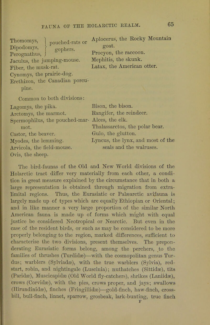 FAUNA OF THE HOLAECTIC BEALM. Thomomys, j p0UChed-rats or Dipodomys, r gophers. Perognathus, j Jaculus, the juruping-mouse. Fiber, the musk-rat. Cvnomys, the prairie-dog. Erethizon, the Canadian porcu- pine. Common to both divisions: Lagomys, the pika. Arctomys, the marmot. Sperruophilus, the pouched-mar- mot. Castor, the beaver. Myodes, the lemming. Arvicola, the field-mouse. Ovis, the sheep. Aplocerus, the Rocky Mountain goat. Procyon, the raccoon. Mephitis, the skunk. Latax, the American otter. Bison, the bison. Rangifer, the reindeer. Alces, the elk. Thalassarctos, the polar bear. Gulo, the glutton. Lyncus, the lynx, and most of the seals and the walruses. The bird-faunas of the Old and New World divisions of the Holarctic tract differ very materially from each other, a condi- tion in great measure explained by the circumstance that in both a large representation is obtained through migration from extra- limital regions. Thus, the Eurasiatic or Palsearctic avifauna is largely made up of types which are equally Ethiopian or Oriental; and in like manner a very large proportion of the similar North American fauna is made up of forms which might with equal justice be considered Neotropical or Nearctic. But even in the case of the resident birds, or such as may be considered to be more properly belonging to the region, marked differences, sufficient to characterise the two divisions, present themselves. The prepon- derating Eurasiatic forms belong, among the perchers, to the families of thrushes (Turdidse)—with the cosmopolitan genus Tur- dus; warblers (Sylviadae), with the true warblers (Sylvia), red- start, robin, and nightingale (Luscinia); nuthatches (Sittidse), tits (Paridse), Muscicapidae (Old World fly-catchers), shrikes (Laniidue), crows (Corvidae), with the pies, crows proper, and jays; swallows (Ilirundinidffi), finches (Fringillidne)—gold-finch, haw-finch, cross- bill, bull-finch, linnet, sparrow, grosbeak, larlc-bunting, true finch