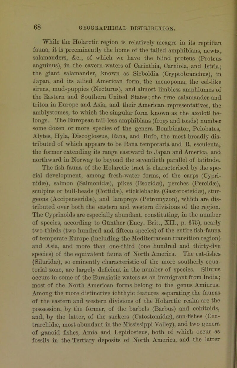 While the Holarctic region is relatively meagre in its reptilian, fauna, it is preeminently the home of the tailed amphibians, newts, salamanders, &c., of which we have the blind proteus (Proteus anguinus), in the cavern-waters of Carinthia, Carniola, and Istria; the giant salamander, known as Sieboldia (Cryptobranchus), in Japan, and its allied American form, the menopoma, the eel-like sirens, mud-puppies (Necturus), and almost limbless amphiumes of the Eastern and Southern United States; the true salamander and triton in Europe and Asia, and their American representatives, the amblystomes, to which the singular form known as the axolotl be- longs. The European tail-less amphibians (frogs and toads) number some dozen or more species of the genera Bombinator, Pelobates, Alytes, Hyla, Discoglossus, Rana, and Bufo, the most broadly dis- tributed of which appears to be Rana temporaria and R. esculenta, the former extending its range eastward to Japan and America, and northward in Norway to beyond the seventieth parallel of latitude. The fish-fauna of the Holarctic tract is characterised by the spe- cial development, among fresh-water forms, of the carps (Cypri- nidas), salmon (Salmonidae), pikes (Esocidaj), perches (Percidse), sculpins or bull-heads (Cottidae), sticklebacks (Gasterosteida;), stur- geons (Accipenseridae), and lampreys (Petromyzon), which are dis- tributed over both the eastern and western divisions of the region. The Cyprinoids are especially abundant, constituting, in the number of species, according to Gunther (Ency. Brit., Xn., p. 675), nearly two-thirds (two hundred and fifteen species) of the entire fish-fauna of temperate Europe (including the Mediterranean transition region) and Asia, and more than one-third (one hundred and thirty-five species) of the equivalent fauna of North America. The cat-fishes (Siluridse), so eminently characteristic of the more southerly equa- torial zone, are largely deficient in the number of species. Silurus occurs in some of the Eurasiatic waters as an immigrant from India; most of the North American forms belong to the genus Amiurus. Among the more distinctive ichthyic features separating the faunas of the eastern and western divisions of the Holarctic realm are the possession, by the former, of the barbels (Barbus) and cobitoids, and, by the latter, of the suckers (Catostomidae), sun-fishes (Cen- trarchidae, most abundant in the Mississippi Valley), and two genera of ganoid fishes, Amia and Lepidosteus, both of which occur as fossils in the Tertiary deposits of North America, and the latter