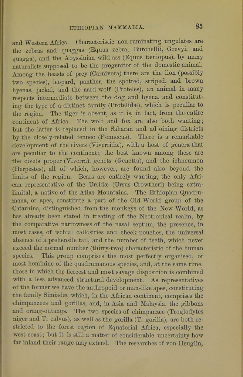 and Western Africa. Characteristic non-ruminating ungulates are the zebras and quaggas (Equus zebra, Burchellii, Grevyi, and quagga), and the Abyssinian wild-ass (Equus taeniopus), by many naturalists supposed to be the progenitor of the domestic animal. Among the beasts of prey (Carnivora) there are the lion (possibly two species), leopard, panther, the spotted, striped, and brown hyenas, jackal, and the aard-wolf (Proteles), an animal in many respects intermediate between the dog and hyena, and constitut- ing the type of a distinct family (Protelidse), which is peculiar to the region. The tiger is absent, as it is, in fact, from the entire continent of Africa. The wolf and fox are also both wanting; but the latter is replaced in the Saharan and adjoining districts by the closely-related fennec (Fennecus). There is a remarkable development of the civets (Viverridse), with a host of genera that are peculiar to the continent; the best known among these are the civets proper (Yiverra), genets (Genetta), and the ichneumon (Herpestes), all of which, however, are found also beyond the limits of the region. Bears are entirely wanting, the only Afri- can representative of the Ursidse (Ursus Crowtheri) being extra- limital, a native of the Atlas Mountains. The Ethiopian Quadru- mana, or apes, constitute a part of the Old World group of the Catarhina, distinguished from the monkeys of the New World, as has already been stated in treating of the Neotropical realm, by the comparative narrowness of the nasal septum, the presence, in most cases, of ischial callosities and cheek-pouches, the universal absence of a prehensile tail, and the number of teeth, which never exceed the normal number (thirty-two) characteristic of the human species. This group comprises the most perfectly organised, or most hominine of the quadrumanous species, and, at the same time, those in which the fiercest and most savage disposition is combined with a less advanced structural development. As representatives of the former we have the anthropoid or man-like apes, constituting the family Simradae, which, in the African continent, comprises the -chimpanzees and gorillas, and, in Asia and Malaysia, the gibbons and orang-outangs. The two species of chimpanzee (Troglodytes niger and T. calvus), as well as the gorilla (T. gorilla), are both re- stricted to the forest region of Equatorial Africa, especially the west coast; but it is still a matter of considerable uncertainty how far inland their range may extend. The researches of von Ileuglin,