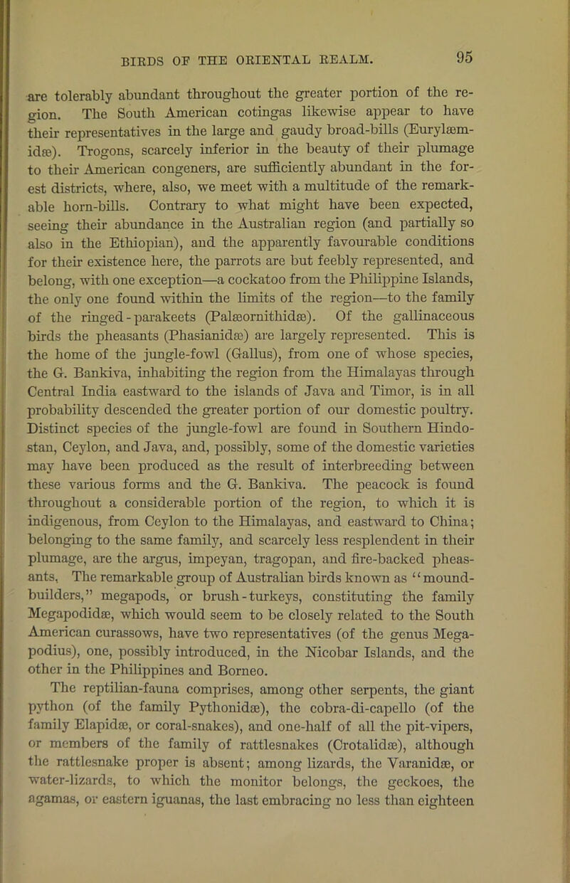 are tolerably abundant throughout the greater portion of the re- gion. The South American cotingas likewise appear to have their representatives in the large and gaudy broad-bills (Eurylaam- id?e). Trogons, scarcely inferior in the beauty of their plumage to their American congeners, are sufficiently abundant in the for- est districts, where, also, we meet with a multitude of the remark- able horn-bills. Contrary to what might have been expected, seeing their abundance in the Australian region (and partially so also in the Ethiopian), and the apparently favourable conditions for their existence here, the parrots are but feebly represented, and belong, with one exception—a cockatoo from the Philippine Islands, the only one found within the limits of the region—to the family of the ringed - parakeets (Palasornitliidse). Of the gallinaceous birds the pheasants (Phasianidn) are largely represented. This is the home of the jungle-fowl (Gallus), from one of whose species, the G. Bankiva, inhabiting the region from the Himalayas through Central India eastward to the islands of Java and Timor, is in all probability descended the greater portion of our domestic poultry. Distinct species of the jungle-fowl are found in Southern Hindo- stan, Ceylon, and Java, and, possibly, some of the domestic varieties may have been produced as the result of interbreeding between these various forms and the G. Bankiva. The peacock is found throughout a considerable portion of the region, to which it is indigenous, from Ceylon to the Himalayas, and eastward to China; belonging to the same family, and scarcely less resplendent in their plumage, are the argus, impeyan, tragopan, and fire-backed pheas- ants, The remarkable group of Australian birds known as “mound- builders,” megapods, or brush - turkeys, constituting the family Megapodidae, which would seem to be closely related to the South American curassows, have two representatives (of the genus Mega- podius), one, possibly introduced, in the Nicobar Islands, and the other in the Philippines and Borneo. The reptilian-fauna comprises, among other serpents, the giant python (of the family Pythonidse), the cobra-di-capello (of the family Elapida;, or coral-snakes), and one-half of all the pit-vipers, or members of the family of rattlesnakes (Crotalidos), although the rattlesnake proper is absent; among lizards, the Yaranidse, or water-lizards, to which the monitor belongs, the geckoes, the agamas, or eastern iguanas, the last embracing no less than eighteen