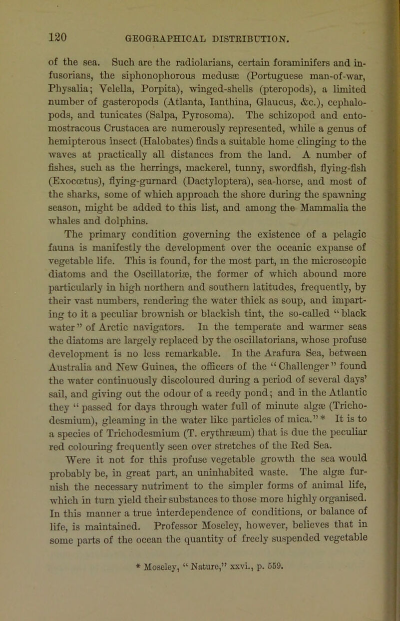 of the sea. Such are the radiolarians, certain foraminifers and in- fusorians, the siphonophorous medusae (Portuguese man-of-war, Physalia; Velella, Porpita), winged-shells (pteropods), a limited number of gasteropods (Atlanta, Ianthina, Glaucus, &c.), cephalo- pods, and tunicates (Salpa, Pyrosoma). The schizopod and ento- mostracous Crustacea are numerously represented, while a genus of hemipterous insect (Halobates) finds a suitable home clinging to the waves at practically all distances from the land. A number of fishes, such as the herrings, mackerel, tunny, swordfish, flying-fish (Exocoetus), flying-gurnard (Dactyloptera), sea-horse, and most of the sharks, some of which approach the shore during the spawning season, might be added to this list, and among the Mammalia the whales and dolphins. The primary condition governing the existence of a pelagic fauna is manifestly the development over the oceanic expanse of vegetable life. This is found, for the most part, in the microscopic diatoms and the Oscillatoria), the former of which abound more particularly in high northern and southern latitudes, frequently, by their vast numbers, rendering the water thick as soup, and impart- ing to it a peculiar brownish or blackish tint, the so-called “ black water ” of Arctic navigators. In the temperate and warmer seas the diatoms are largely replaced by the oscillatorians, whose profuse development is no less remarkable. In the Arafura Sea, between Australia and New Guinea, the officers of the “Challenger” found the water continuously discoloured during a period of several days’ sail, and giving out the odour of a reedy pond; and in the Atlantic they “ passed for days through water full of minute algfe (Triclio- desmium), gleaming in the water like particles of mica.” * It is to a species of Triehodesmium (T. erythrseum) that is due the peculiar red colouring frequently seen over stretches of the Red Sea. Were it not for this profuse vegetable growth the sea would probably be, in great part, an uninhabited waste. The algoa fur- nish the necessary nutriment to the simpler forms of animal life, which in turn yield their substances to those more highly organised. In this manner a true interdependence of conditions, or balance of life, is maintained. Professor Moseley, however, believes that in some parts of the ocean the quantity of freely suspended vegetable * Moseley, “ Nature,” xxvi., p. 559.