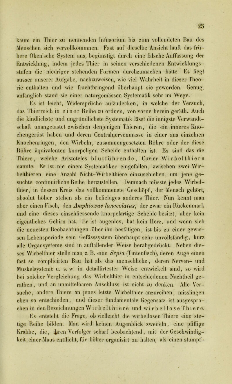 kaum ein Thier zu nennenden Infusorium bis zum vollendeten Bau des Menschen sich vervollkommnen. Fast auf dieselbe Ansicht läuft das frü- here Oken’schc System aus, begünstigt durch eine falsche Auffassung der Entwicklung, indem jedes Thier in seinen verschiedenen Entwicklungs- stufen die niedriger stehenden Formen durchzumachen hätte. Es liegt ausser unserer Aufgabe, nachzuweisen, wie viel Wahrheit in dieser Theo- rie enthalten und wie fruchtbringend überhaupt sie geworden. Genug, anfänglich stand sie einer naturgemässen Systematik sehr im Wege. Es ist leicht, Widersprüche aufzudecken, in welche der Versuch, das Thierreich in einer Reihe zu ordnen, von vorne herein geräth. Auch die kindlichste und ungründlichste Systematik lässt die innigste Verwandt- schaft unangetastet zwischen denjenigen Thicren, die ein inneres Kno- chengerüst haben und deren Centrainervenmasse in einer aus einzelnen Knochenringen, den Wirbeln, zusammengesetzten Röhre oder der diese Röhre äquivalenten knorpeligen Scheide enthalten ist. Es sind das die Thiere, welche Aristoteles blutführende, Cuvier Wirbelthiere nannte. Es ist nie einem Systematiker eingefallen, zwischen zwei Wir- belthieren eine Anzahl Nicht-Wirbel thiere einzuschieben, um jene ge- suchte continuirliche Reihe herzustellen. Demnach müsste jedes Wirbel- thier, in dessen Kreis das vollkommenste Geschöpf, der Mensch gehört, absolut höher stehen als ein beliebiges anderes Thier. Nun kennt man aber einen Fisch, den Amphioxus lanceolatus, der zwar ein Rückenmark und eine dieses einschliessende knorpelartige Scheide besitzt, aber kein eigentliches Gehirn hat. Er ist augenlos, hat kein Herz, und wenn sich die neuesten Beobachtungen über ihn bestätigen, ist bis zu einer gewis- sen Lebensperiode sein Gefässsystem überhaupt sehr unvollständig, kurz alle Organsysteme sind in auffallender Weise herabgedrückt. Neben die- ses Wirbellhier stelle man z. R. eine Sepia (Tintenfisch), deren Auge einen fast so complicirten Bau hat als das menschliche , deren Nerven- und Muskelsysteme u. s. w. in detaillirtester Weise entwickelt sind, so wird bei solcher Vergleichung das Wirbelthier in entschiedenen Nachtheil ge- rathen, und an unmittelbaren Anschluss ist nicht zu denken. Alle Ver- suche, andere Thiere an jenes letzte Wirbelthier anzureihen, misslingen eben so entschieden, und dieser fundamentale Gegensatz ist ausgespro- chen in den Bezeichnungen Wirbelthiere und wirbelloseThiere. Es entsteht die Frage, ob vielleicht die wirbellosen Thiere eine ste- tige Reihe bilden. Man wird keinen Augenblick zweifeln, eine pfiffige Krabbe, die, i|iren Verfolger scharf beobachtend, mit der Geschwindig- keit einer Maus entflieht, für höher organisirt zu halten, als einen stumpf-