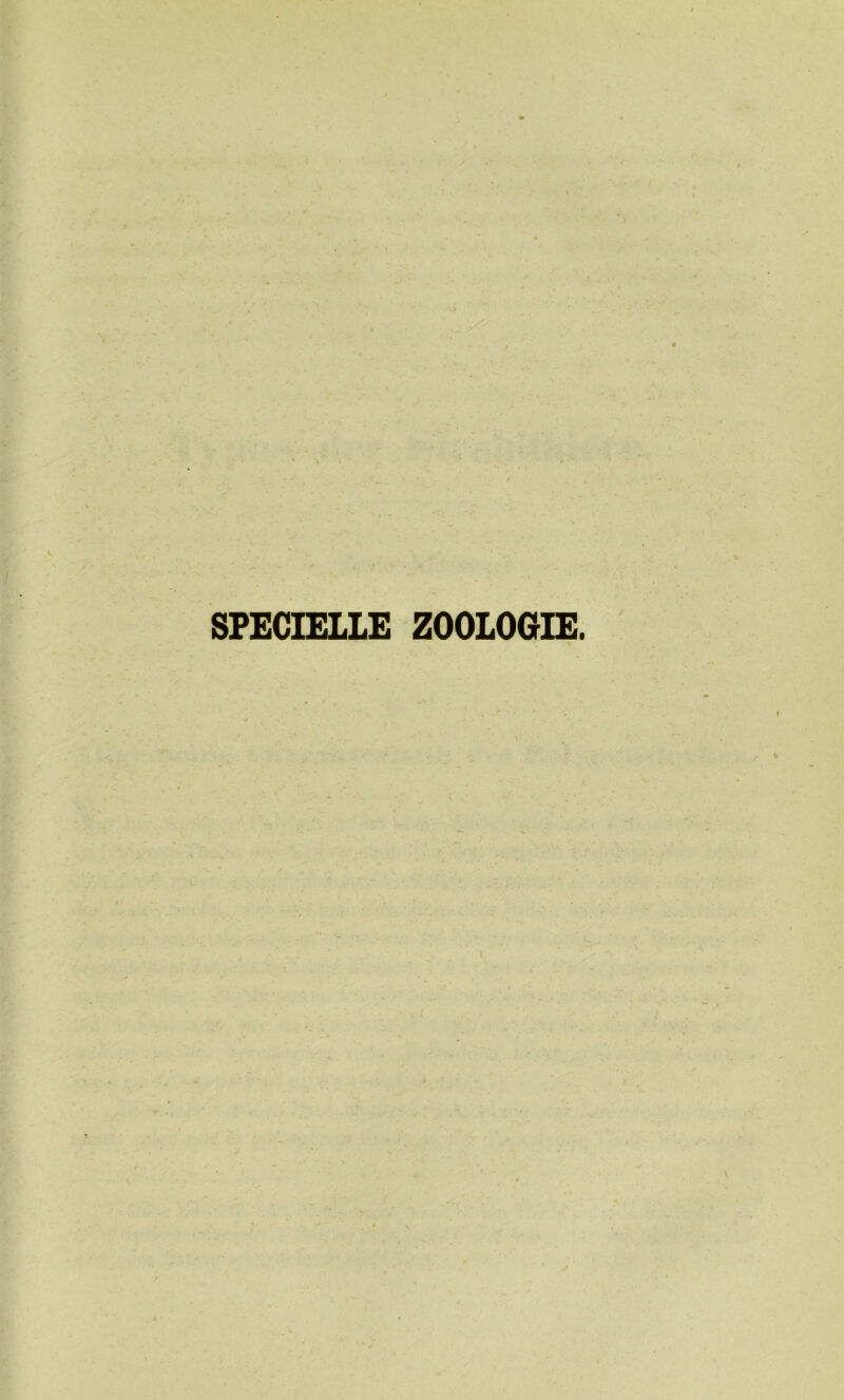 SPECIELLE ZOOLOGIE.