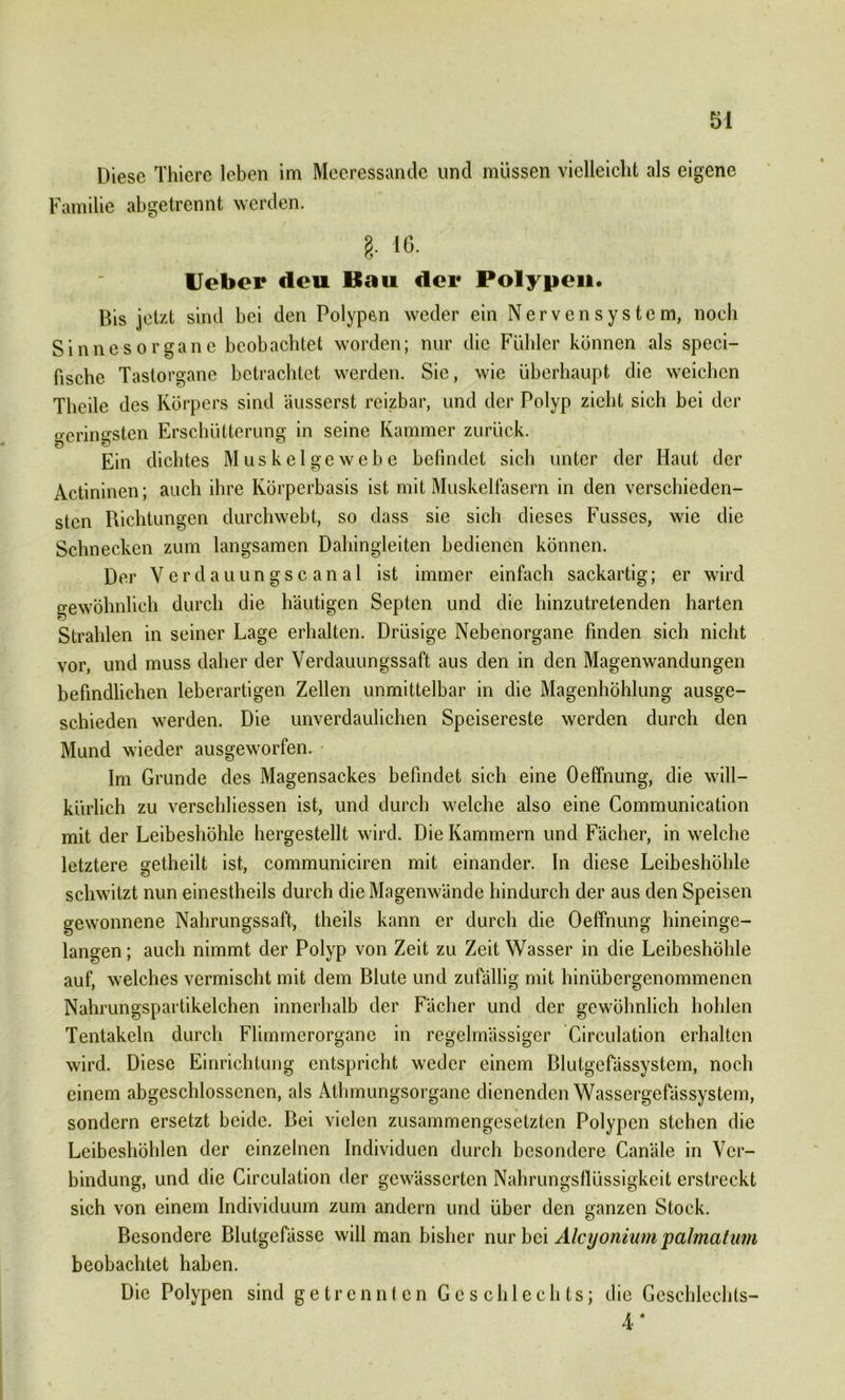 Diese Thiere leben im Meeressande und müssen vielleicht als eigene Familie abgetrennt werden. 8- 16- Heber deu Bau der Polypen. Bis jetzt sind bei den Polypen weder ein Nervensystem, noch Sinnesorgane beobachtet worden; nur die Fühler können als speci- fische Tastorgane betrachtet werden. Sic, wie überhaupt die weichen Theile des Körpers sind äusserst reizbar, und der Polyp zieht sich bei der geringsten Erschütterung in seine Kammer zurück. Ein dichtes Muskelgewebe befindet sich unter der Haut der Actininen; auch ihre Körperbasis ist mit Muskelfasern in den verschieden- sten Richtungen durchweht, so dass sie sich dieses Fusses, wie die Schnecken zum langsamen Dahingleiten bedienen können. Der Verdauungscanal ist immer einfach sackartig; er wird gewöhnlich durch die häutigen Septcn und die hinzutretenden harten Strahlen in seiner Lage erhalten. Drüsige Nebenorgane finden sich nicht vor, und muss daher der Verdauungssaft aus den in den Magenwandungen befindlichen leberartigen Zellen unmittelbar in die Magenhöhlung ausge- schieden werden. Die unverdaulichen Speisereste werden durch den Mund wieder ausgeworfen. Im Grunde des Magensackes befindet sich eine Oeffnung, die will- kürlich zu verschliessen ist, und durch welche also eine Communication mit der Leibeshöhle hergestellt wird. Die Kammern und Fächer, in welche letztere getheilt ist, communiciren mit einander. In diese Leibeshöhle schwitzt nun einestheils durch die Magenwände hindurch der aus den Speisen gewonnene Nahrungssaft, theils kann er durch die Oeffnung hineinge- langen ; auch nimmt der Polyp von Zeit zu Zeit Wasser in die Leibeshöhle auf, welches vermischt mit dem Blute und zufällig mit hinübergenommenen Nahrungspartikelchen innerhalb der Fächer und der gewöhnlich hohlen Tentakeln durch Flimmcrorganc in regelmässiger Circulation erhalten wird. Diese Einrichtung entspricht weder einem Blutgcfässystcm, noch einem abgeschlossenen, als Athmungsorgane dienenden Wassergefässystem, sondern ersetzt beide. Bei vielen zusammengesetzten Polypen stehen die Leibeshöhlen der einzelnen Individuen durch besondere Canäle in Ver- bindung, und die Circulation der gewässerten Nahrungsflüssigkeit erstreckt sich von einem Individuum zum andern und über den ganzen Stock. Besondere Blutgefässe will man bisher nur bei Alcyonium palmatum beobachtet haben. Die Polypen sind getrennten Geschlechts; die Gcsehlechts- 4*