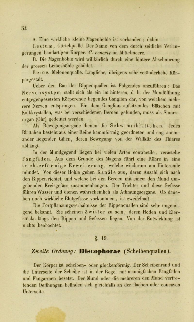 A. Eine wirkliche kleine Magenhöhle ist vorhanden ; dahin Cestum, Gürtelqualle. Der Name von dem durch seitliche Verlän- gerungen bandartigen Körper. C. veneris im Mittelmeere. B. Die Magenhöhle wird willkürlich durch eine hintere Abschnürung der grossen Leibeshöhle gebildet. Beroe. Melonenqualle. Längliche, übrigens sehr veränderliche Kör- pergestalt. Ucber den Bau der Rippenquallen ist Folgendes anzufübren : Das Nervensystem stellt sich als ein im hinteren, d. h. der Mundöffnung entgegengesetzten Körperende liegendes Ganglion dar, von welchem meh- rere Nerven entspringen. Ein dem Ganglion aufsitzendes Bläschen mit Kalkkrystallen, was bei verschiedenen Beroen gefunden, muss als Sinnes- organ (Ohr) gedeutet werden. Als Bewegungsorgane dienen die Schwimmblättchen. Jedes Blättchen besteht aus einer Reihe kammförmig geordneter und eng anein- ander liegender Cilien, deren Bewegung von der Willkür des Thieres abhängt. In der Mundgegend liegen bei vielen Arten contractile, verästelte Fangfäden. Aus dem Grunde des Magens Führt eine Röhre in eine trichterförmige Erweiterung, welche wiederum am Hinterende mündet. Von dieser Höhle gehen Kanäle aus, deren Anzahl sich nach den Rippen richtet, und welche bei den Beroen mit einem den Mund um- gebenden Kreisgefäss Zusammenhängen. Der Trichter und diese Gefässe führen Wasser und dienen wahrscheinlich als Athmungsorgane. Ob dane- ben noch wirkliche Blutgefässe Vorkommen , ist zweifelhaft. Die Fortpflanzungsverhältnisse der Rippenquallen sind sehr ungenü- gend bekannt. Sie scheinen Zwitter zu sein, deren Hoden und Eier- stöcke längs den Rippen und Gefässen liegen. Von der Entwicklung ist nichts beobachtet. g. 19. Zweite Ordnung: Discophorae (Scheibenquallen). Der Körper ist scheiben- oder glockenförmig. Der Scheibenrand und die Unterseite der Scheibe ist in der Regel mit mannigfachen Fangfäden und Fangarmen besetzt. Der Mund oder die mehreren den Mund vertre- tenden Oeffnungen befinden sich gleichfalls an der flachen oder concaven Unterseite.