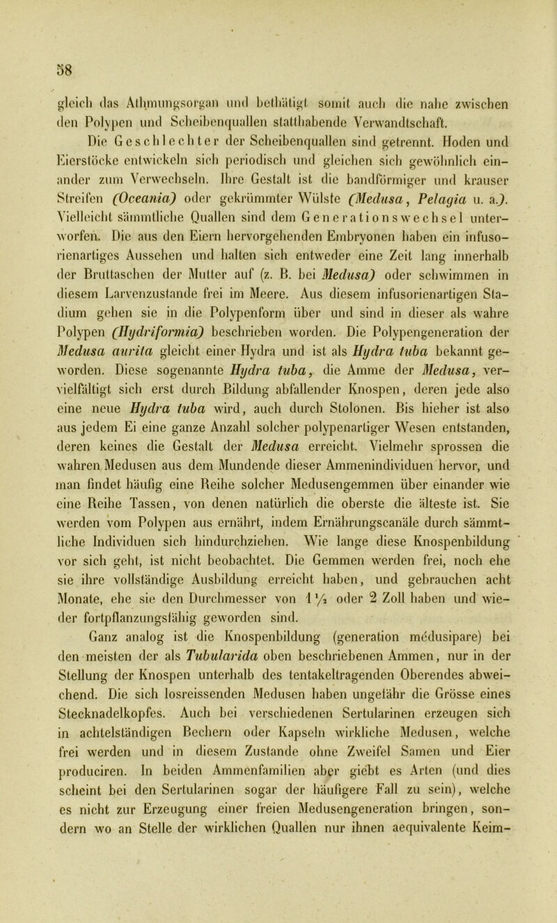 gleich das Athmungsorgan und bethätigt somit auch die nahe zwischen den Polypen und Scheibenquallen statthabende Verwandtschaft. Die Geschlechter der Scheibenquallen sind getrennt. Hoden und Eierstöcke entwickeln sieh periodisch und gleichen sich gewöhnlich ein- ander zum Verwechseln. Ihre Gestalt ist die bandförmiger und krauser Streifen (Oceania) oder gekrümmter Wülste (Medusa, Pelagia u. a J. Vielleicht sämmtliche Quallen sind dem Generationswechsel unter- worfen. Die aus den Eiern hervorgehenden Embryonen haben ein infuso- rienartiges Aussehen und halten sich entweder eine Zeit lang innerhalb der Bruttaschen der Mutter auf (z. B. bei Medusa) oder schwimmen in diesem Larvenzustande frei im Meere. Aus diesem infusorienartigen Sta- dium gehen sie in die Polypenform über und sind in dieser als wahre Polypen (Hydriformia) beschrieben worden. Die Polypengeneration der Medusa aurita gleicht einer Hydra und ist als Hydra tuba bekannt ge- worden. Diese sogenannte Hydra tuba, die Amme der Medusa, ver- vielfältigt sich erst durch Bildung abfallender Knospen, deren jede also eine neue Hydra tuba wird, auch durch Stolonen. Bis hieher ist also aus jedem Ei eine ganze Anzahl solcher polypenartiger Wesen entstanden, deren keines die Gestalt der Medusa erreicht. Vielmehr sprossen die wahren Medusen aus dem Mundende dieser Ammenindividuen hervor, und man findet häufig eine Beihe solcher Medusengemmen über einander wie eine Reihe Tassen, von denen natürlich die oberste die älteste ist. Sie werden vom Polypen aus ernährt, indem Ernährungscanäle durch sämmt- liche Individuen sich hindurchziehen. Wie lange diese Knospenbildung vor sich geht, ist nicht beobachtet. Die Gemmen werden frei, noch ehe sie ihre vollständige Ausbildung erreicht haben, und gebrauchen acht Monate, ehe sie den Durchmesser von 1 ya oder 2 Zoll haben und wie- der fortpflanzungsfähig geworden sind. Ganz analog ist die Knospenbildung (generation medusipare) bei den meisten der als Tubularida oben beschriebenen Ammen, nur in der Stellung der Knospen unterhalb des tentakeltragenden Oberendes abwei- chend. Die sich losreissenden Medusen haben ungetähr die Grösse eines Stecknadelkopfes. Auch bei verschiedenen Sertularinen erzeugen sich in achtelständigen Bechern oder Kapseln wirkliche Medusen, welche frei werden und in diesem Zustande ohne Zweifel Samen und Eier produciren. In beiden Ammenfamilien aber giebt es Arten (und dies scheint bei den Sertularinen sogar der häufigere Fall zu sein), weiche es nicht zur Erzeugung einer freien Medusengeneration bringen, son- dern wo an Stelle der wirklichen Quallen nur ihnen aequivalente Keim-