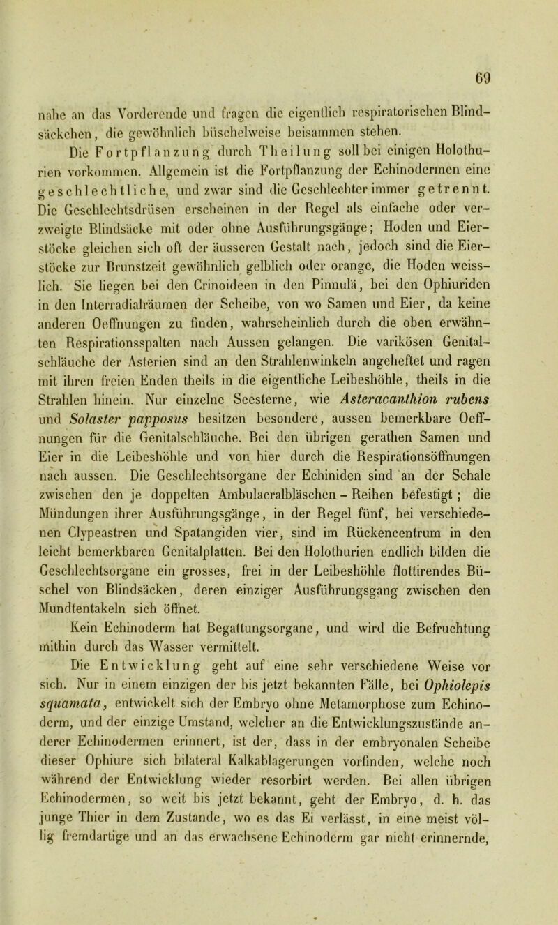 60 nahe an das Vorderende und fragen die eigentlich respiratorischen Blind- säckchen, die gewöhnlich büschelweise beisammen stehen. Die Fortpflanzung durch Theilung soll bei einigen Holothu- rien Vorkommen. Allgemein ist die Fortpflanzung der Ecbinodermen eine geschlechtliche, und zwar sind die Geschlechter immer getrennt. Die Geschlechtsdrüsen erscheinen in der Regel als einfache oder ver- zweigte Blindsäcke mit oder ohne Ausführungsgänge; Hoden und Eier- stöcke gleichen sich oft der äusseren Gestalt nach, jedoch sind die Eier- stöcke zur Brunstzeit gewöhnlich gelblich oder orange, die Hoden weiss- lich. Sie liegen bei den Crinoideen in den Pinnulä, bei den Ophiuriden in den Interradialräumen der Scheibe, von wo Samen und Eier, da keine anderen Oeffnungen zu finden, wahrscheinlich durch die oben erwähn- ten Respirationsspalten nach Aussen gelangen. Die varikösen Genital- schläuche der Asterien sind an den Strahlenwinkeln angeheftet und ragen mit ihren freien Enden theils in die eigentliche Leibeshöhle, theils in die Strahlen hinein. Nur einzelne Seesterne, wie Asteracantliion rubens und Solaster papposus besitzen besondere, aussen bemerkbare Oeff- nungen für die Genitalschläuche. Bei den übrigen gerathen Samen und Eier in die Leibeshöhle und von hier durch die Respirationsöffnungen nach aussen. Die Geschlechtsorgane der Echiniden sind an der Schale zwischen den je doppelten Ambulacralbläschen - Reihen befestigt ; die Mündungen ihrer Ausführungsgänge, in der Regel fünf, bei verschiede- nen Clypeastren und Spatangiden vier, sind im Rückencentrum in den leicht bemerkbaren Genitalplatten. Bei den Holothurien endlich bilden die Geschlechtsorgane ein grosses, frei in der Leibeshöhle flottirendes Bü- schel von Blindsäcken, deren einziger Ausführungsgang zwischen den Mundtentakeln sich öffnet. Kein Echinoderm hat Begattungsorgane, und wird die Befruchtung mithin durch das Wasser vermittelt. Die Entwicklung geht auf eine sehr verschiedene Weise vor sich. Nur in einem einzigen der bis jetzt bekannten Fälle, bei Ophiolepis squamata, entwickelt sich der Embryo ohne Metamorphose zum Echino- derm, und der einzige Umstand, welcher an die Entwicklungszustände an- derer Echinodermen erinnert, ist der, dass in der embryonalen Scheibe dieser Ophiure sich bilateral Kalkablagerungen vorfinden, welche noch während der Entwicklung wieder resorbirt werden. Bei allen übrigen Echinodermen, so weit bis jetzt bekannt, geht der Embryo, d. h. das junge Thier in dem Zustande, wo es das Ei verlässt, in eine meist völ- lig fremdartige und an das erwachsene Echinoderm gar nicht erinnernde,